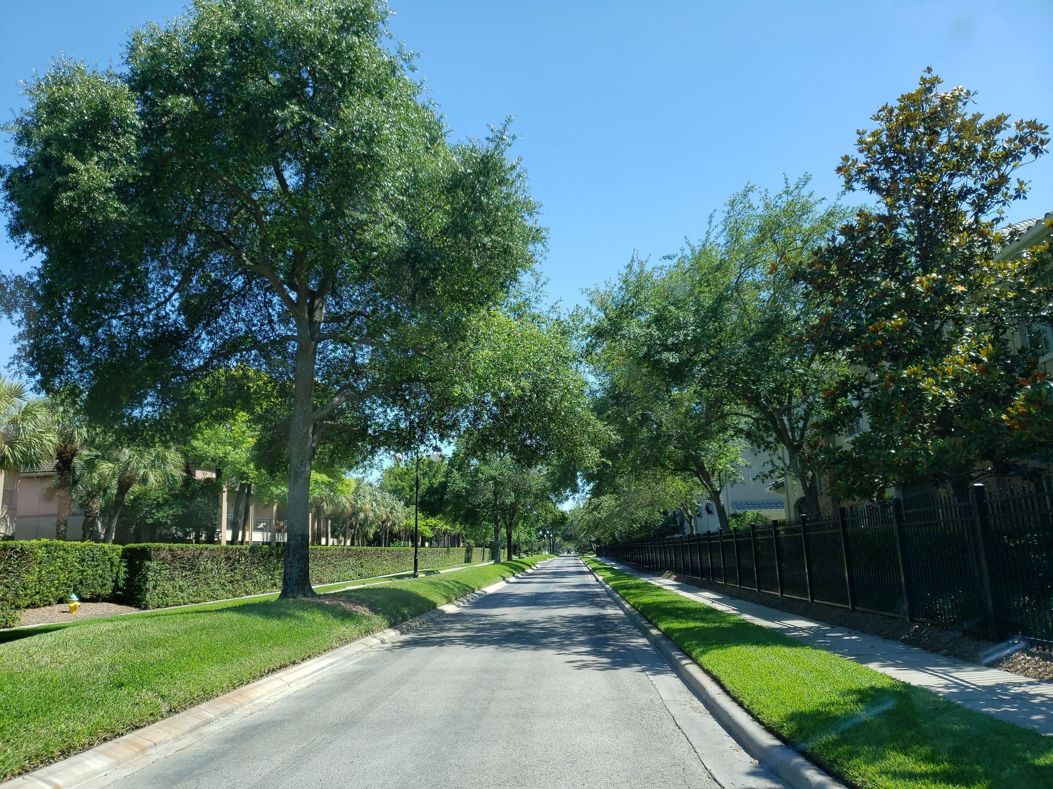 Street view near Tampa Marriott Ballroom, Tampa — © jackdripper (CC BY-SA · Mapillary)