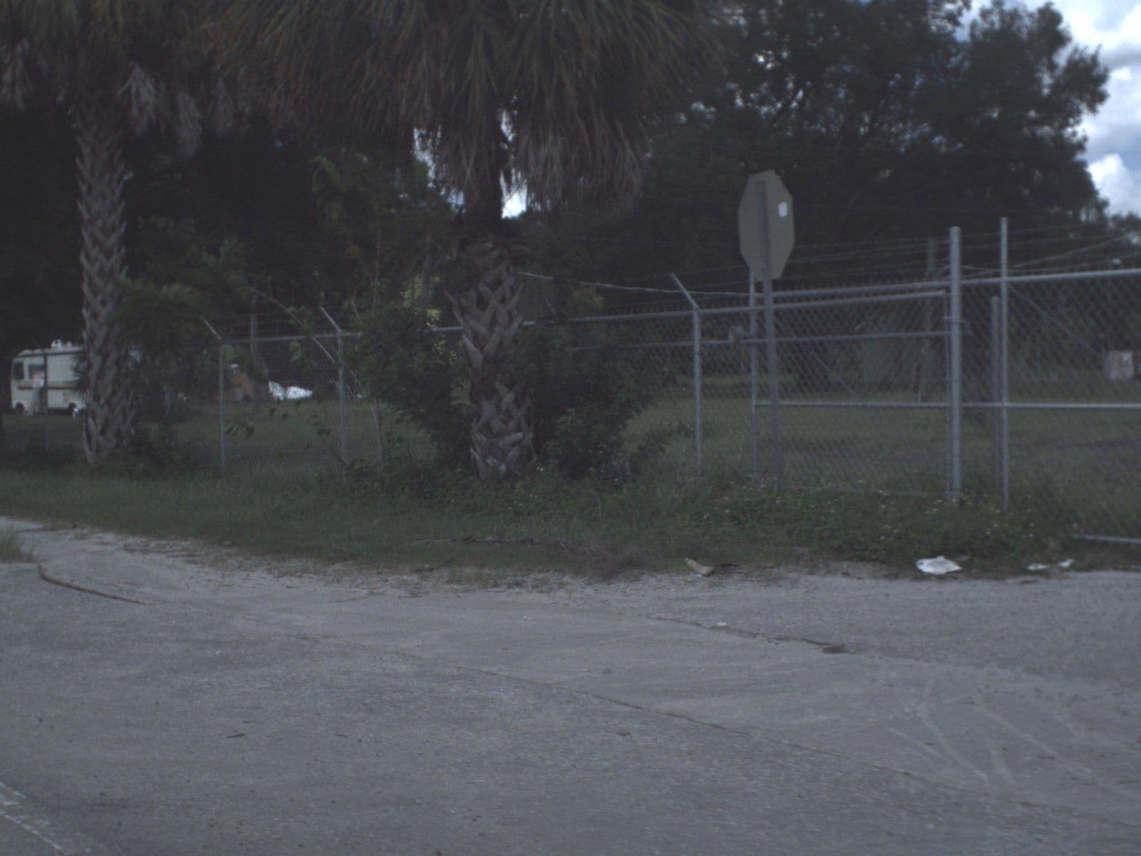 Street view near ιи му ѕρє¢ιαℓ вє∂ ιи тнє ѕку, East Lake-Orient Park — © fdot_vl (CC BY-SA · Mapillary)