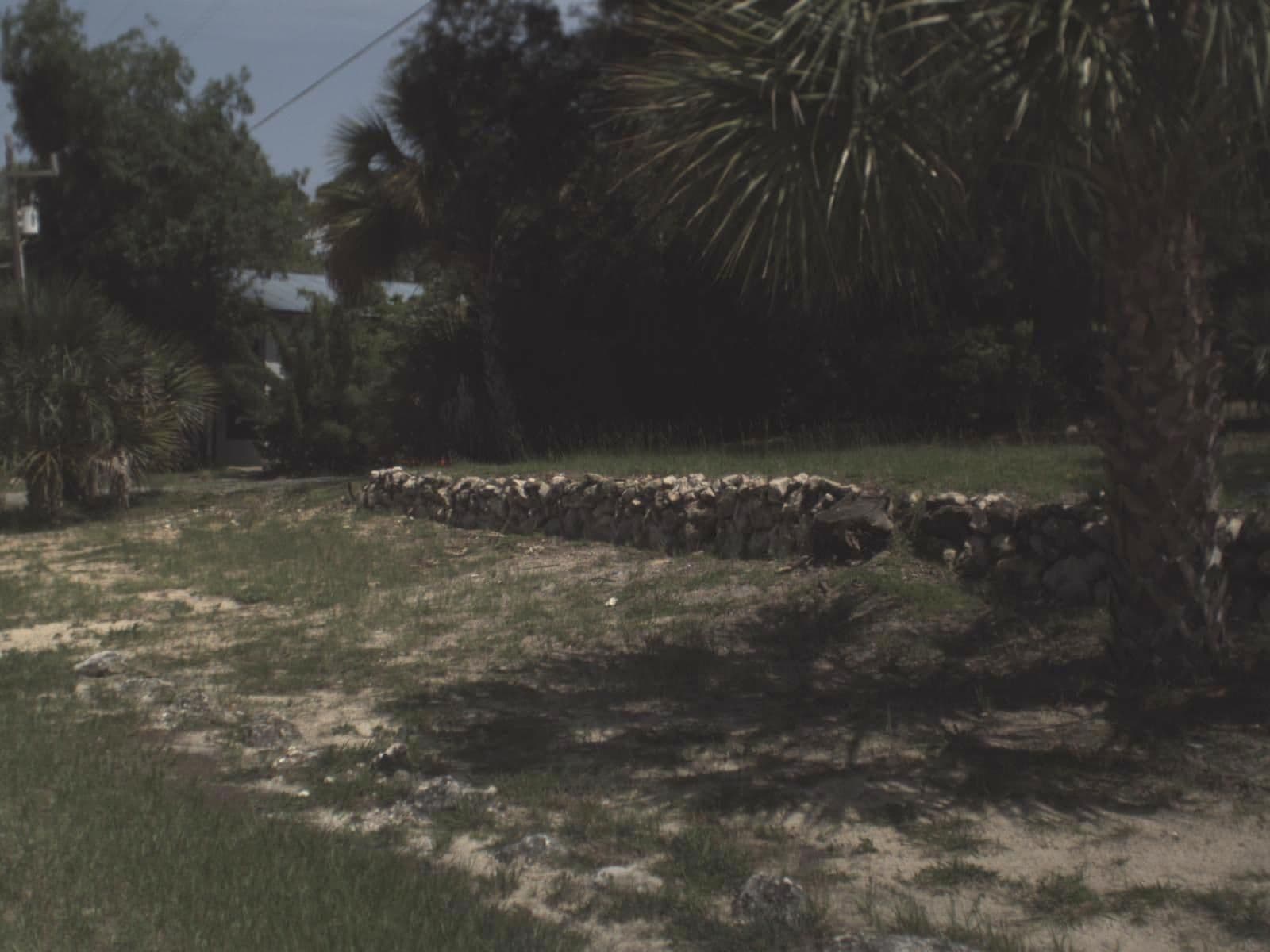 Street view near The Moorings - Steinhatchee House Rental, Steinhatchee — © fdot_vl (CC BY-SA · Mapillary)