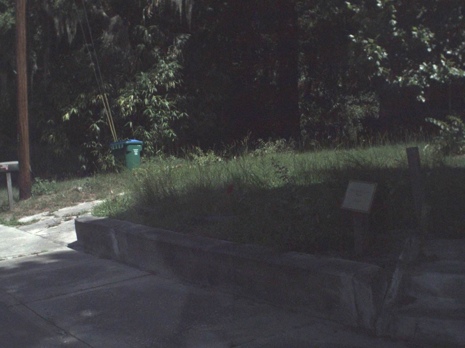 Street view near Suwannee River Motel, Wellborn — © fdot_vl (CC BY-SA · Mapillary)