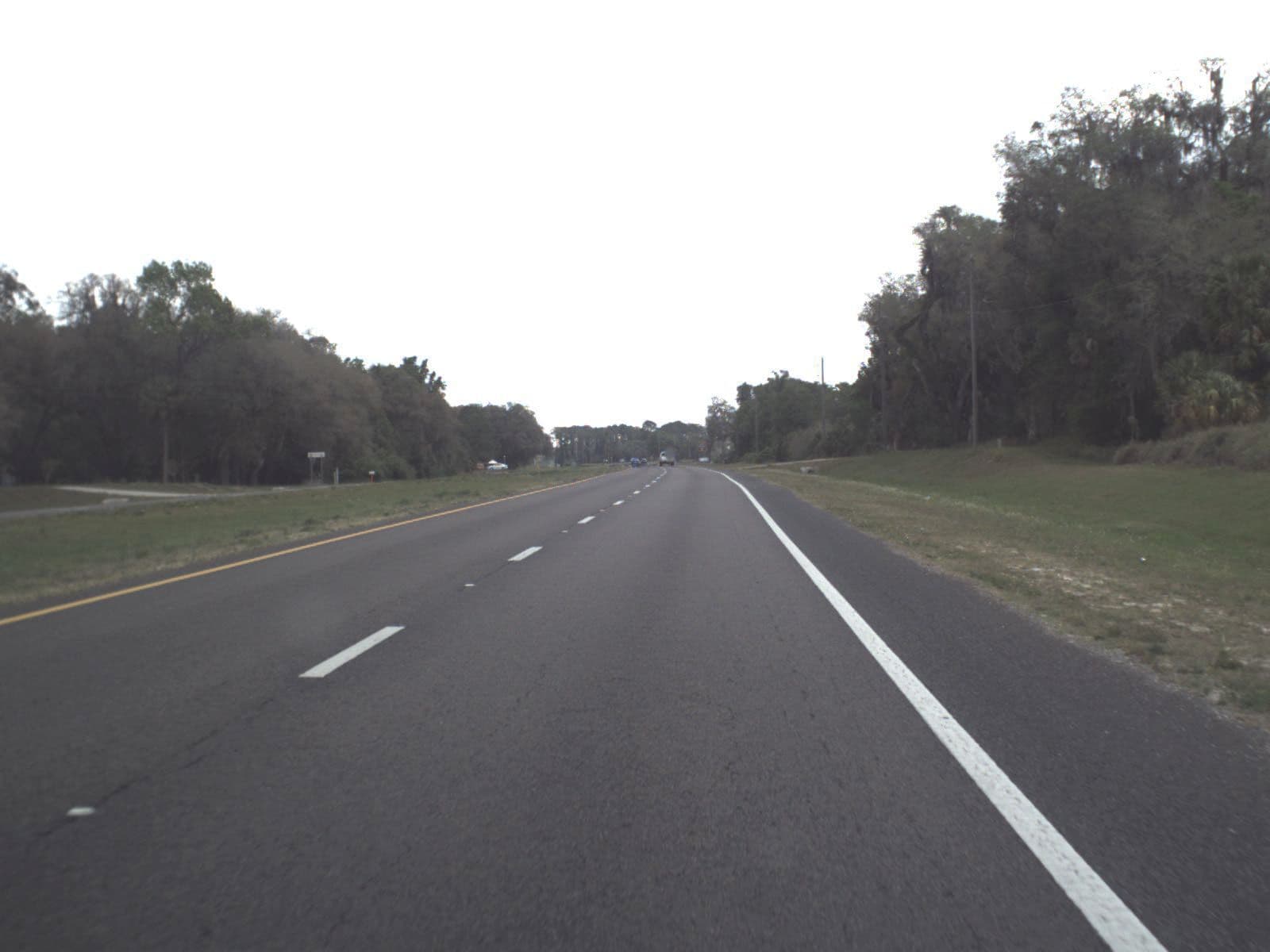 Street view near Thousand Palms Resort, Lake Panasoffkee — © fdot_vl (CC BY-SA · Mapillary)