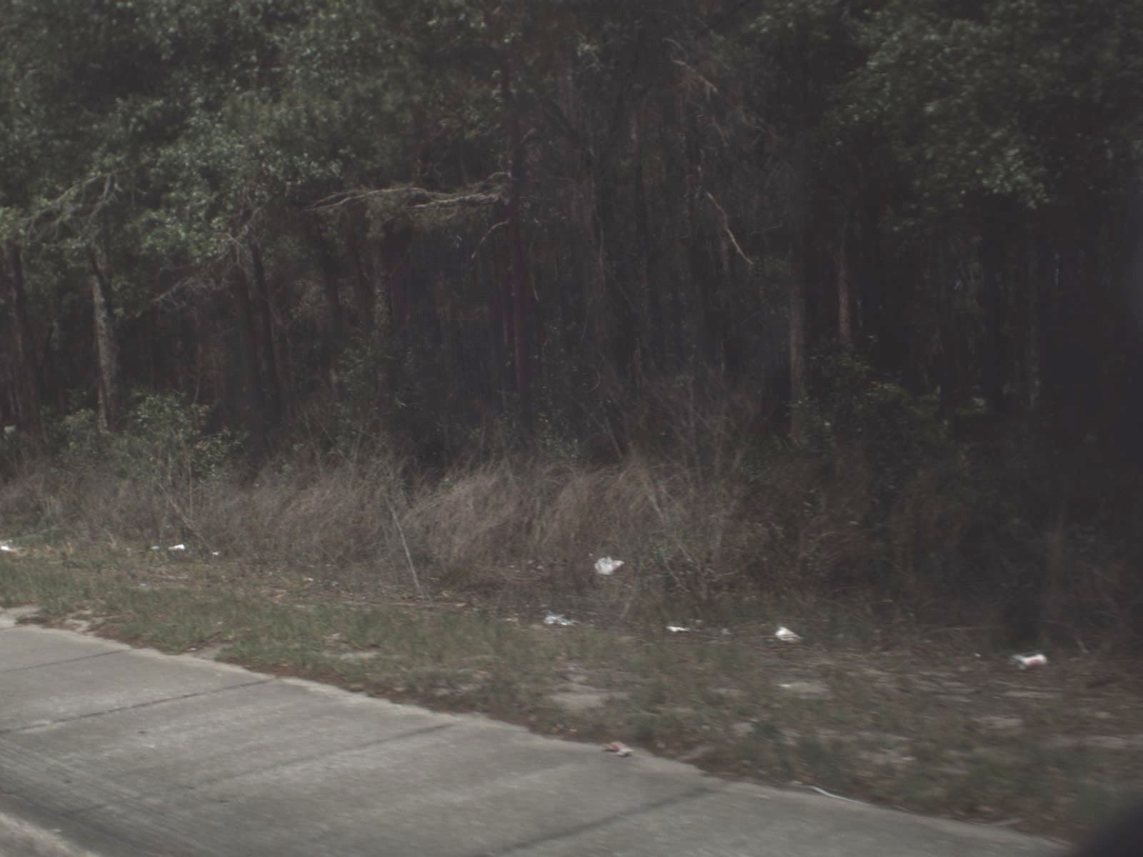 Street view near Sun Plaza Motel, Silver Springs — © fdot_vl (CC BY-SA · Mapillary)