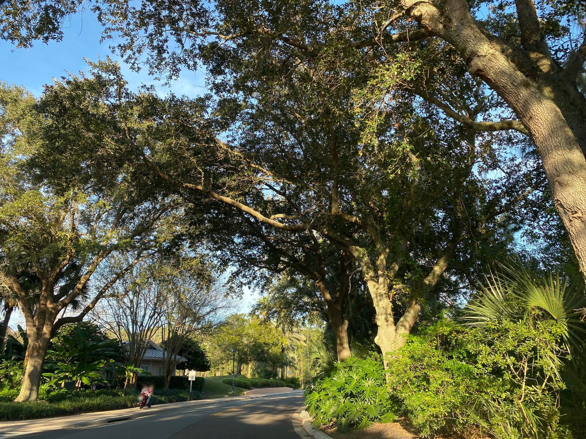 Street view near Old Key West Building 30, Celebration — © shareeb (CC BY-SA · Mapillary)