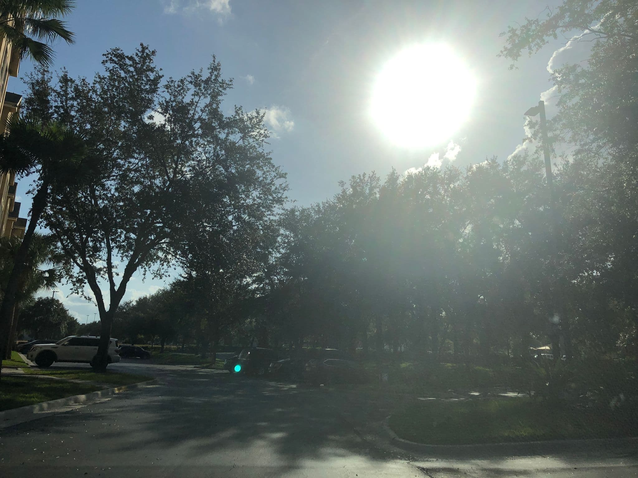 Street view near Homewood Suites by Hilton, Doctor Phillips — © esmoley (CC BY-SA · Mapillary)