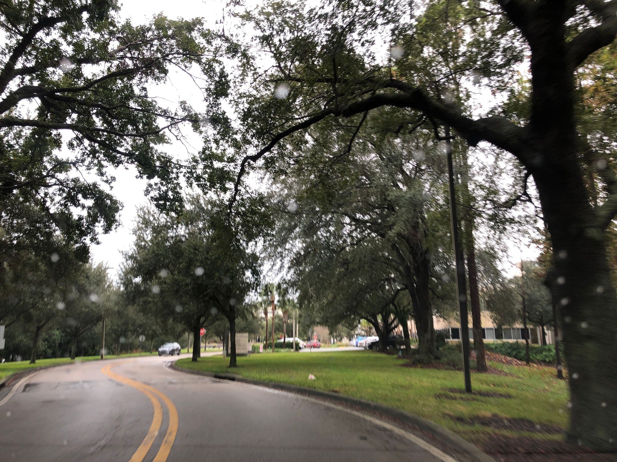 Street view near Secret Squirrel O.G., Doctor Phillips — © esmoley (CC BY-SA · Mapillary)