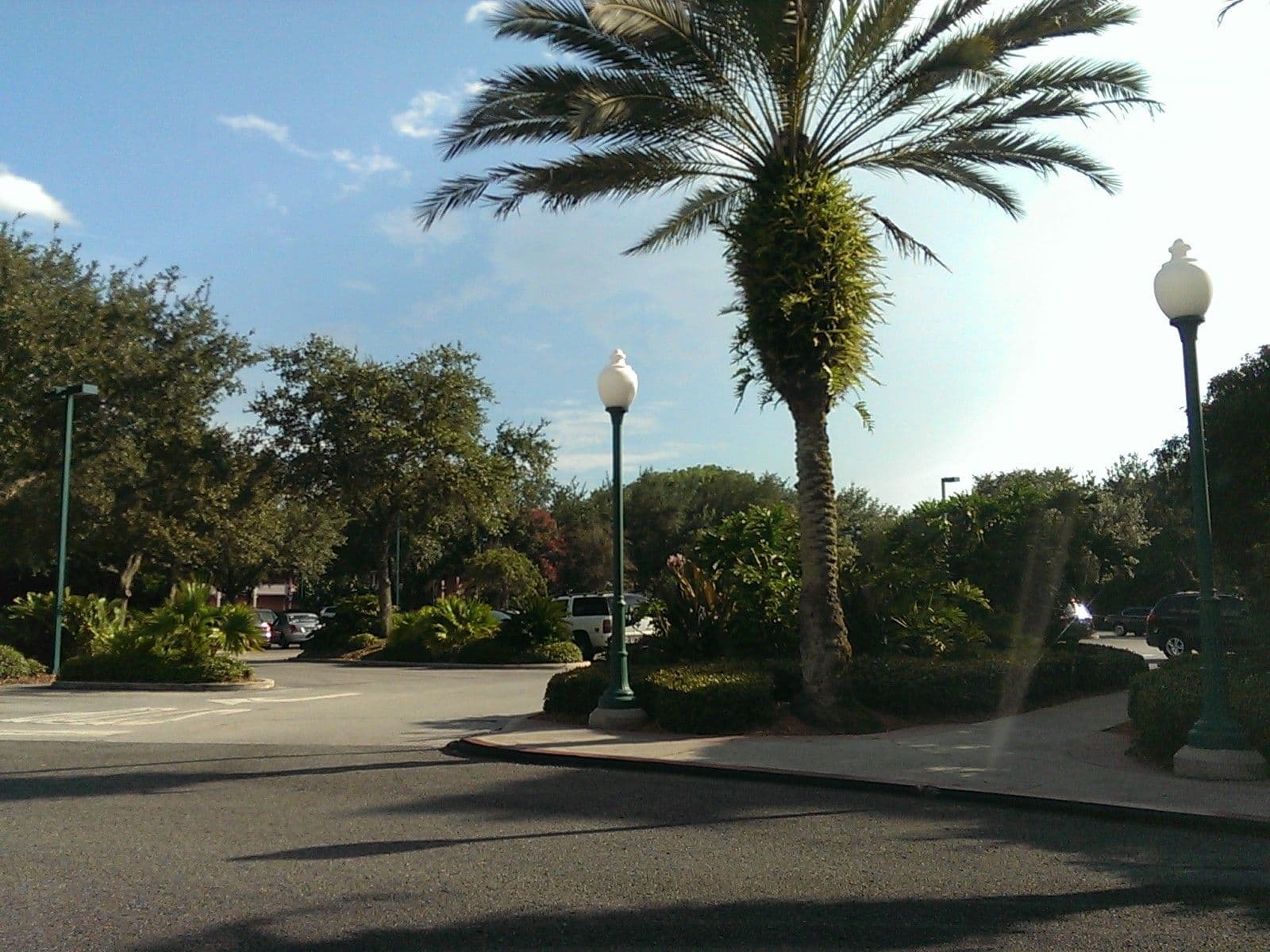 Street view near Disney's Caribbean Beach Resort, Celebration — © cw29 (CC BY-SA · Mapillary)