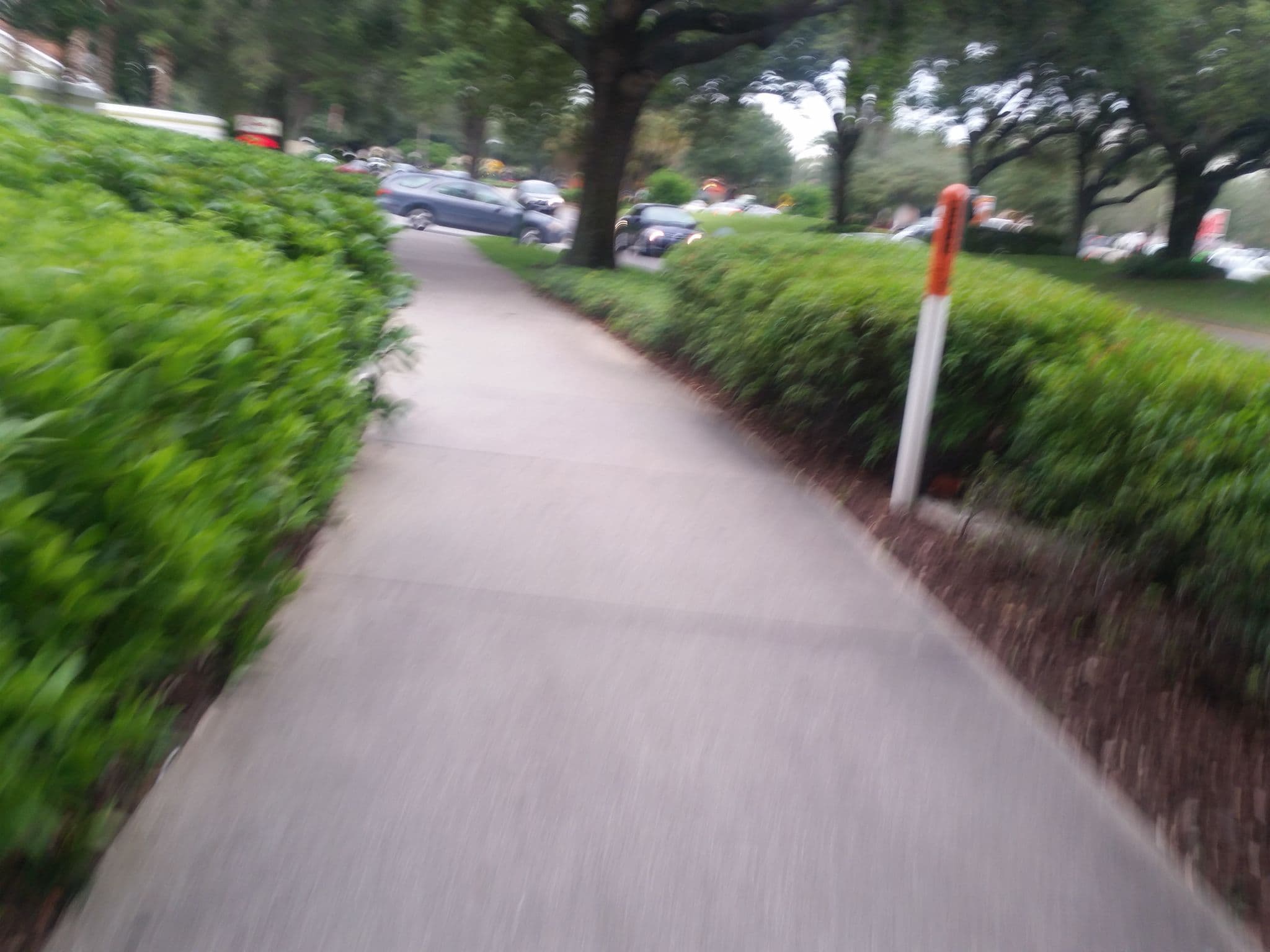 Street view near Recepção do Hotel, Doctor Phillips — © matth81 (CC BY-SA · Mapillary)