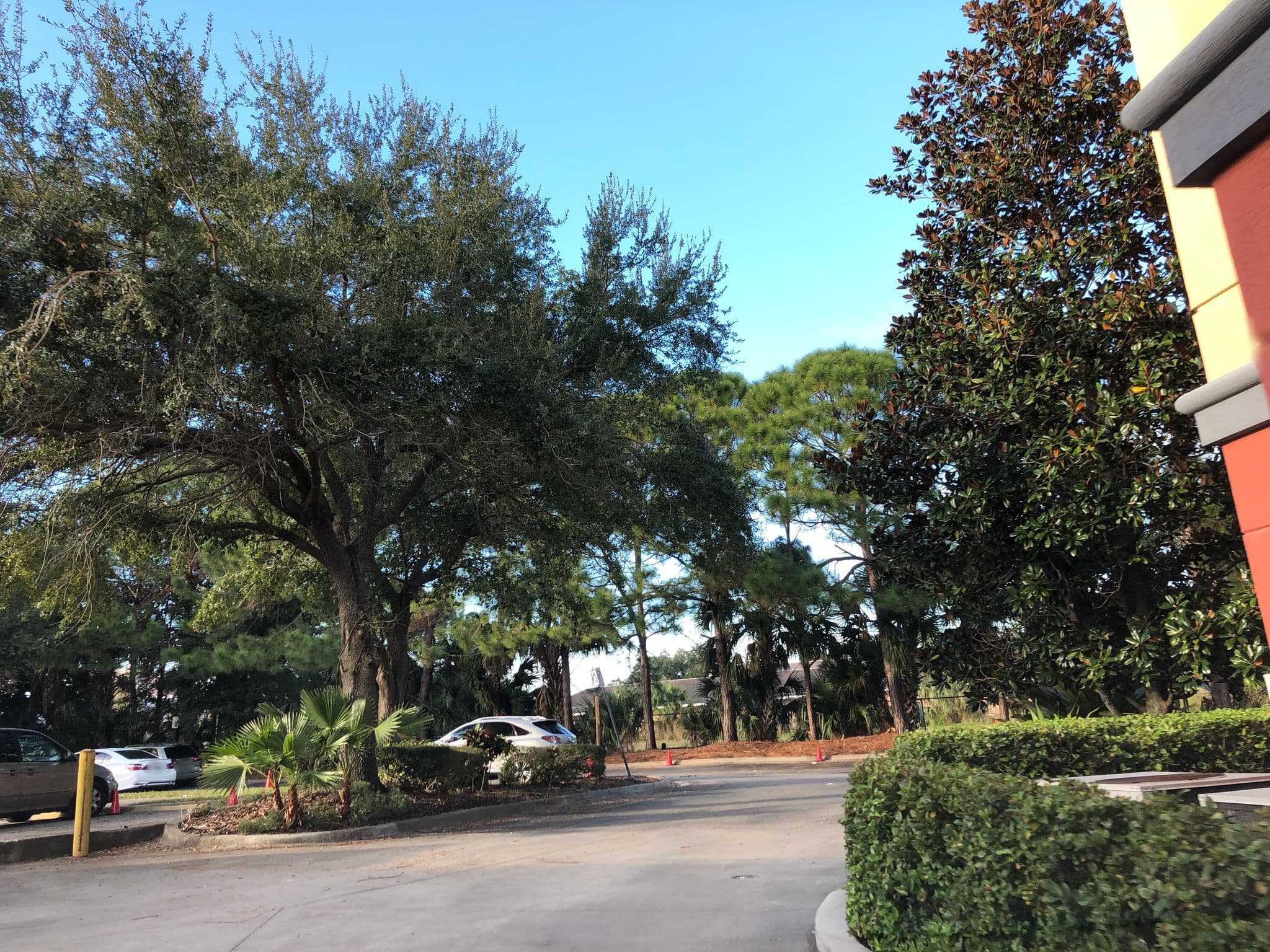 Street view near Rm 1713, Doctor Phillips — © esmoley (CC BY-SA · Mapillary)