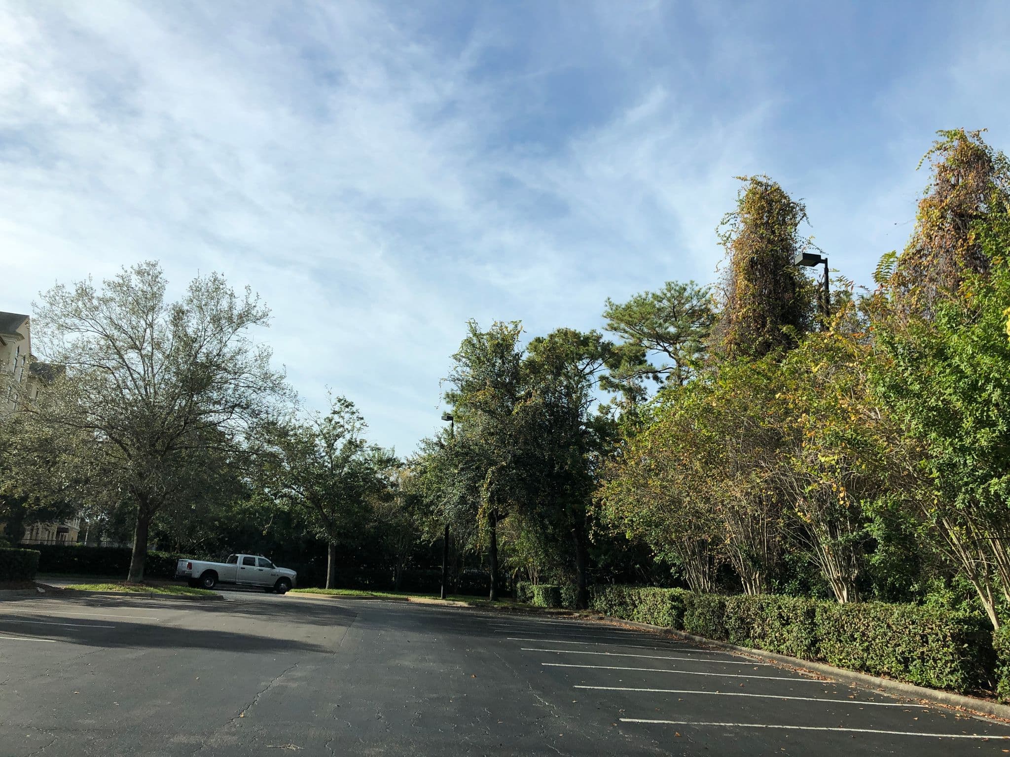 Street view near Huawei @ Crown Plaza, Tangelo Park — © esmoley (CC BY-SA · Mapillary)