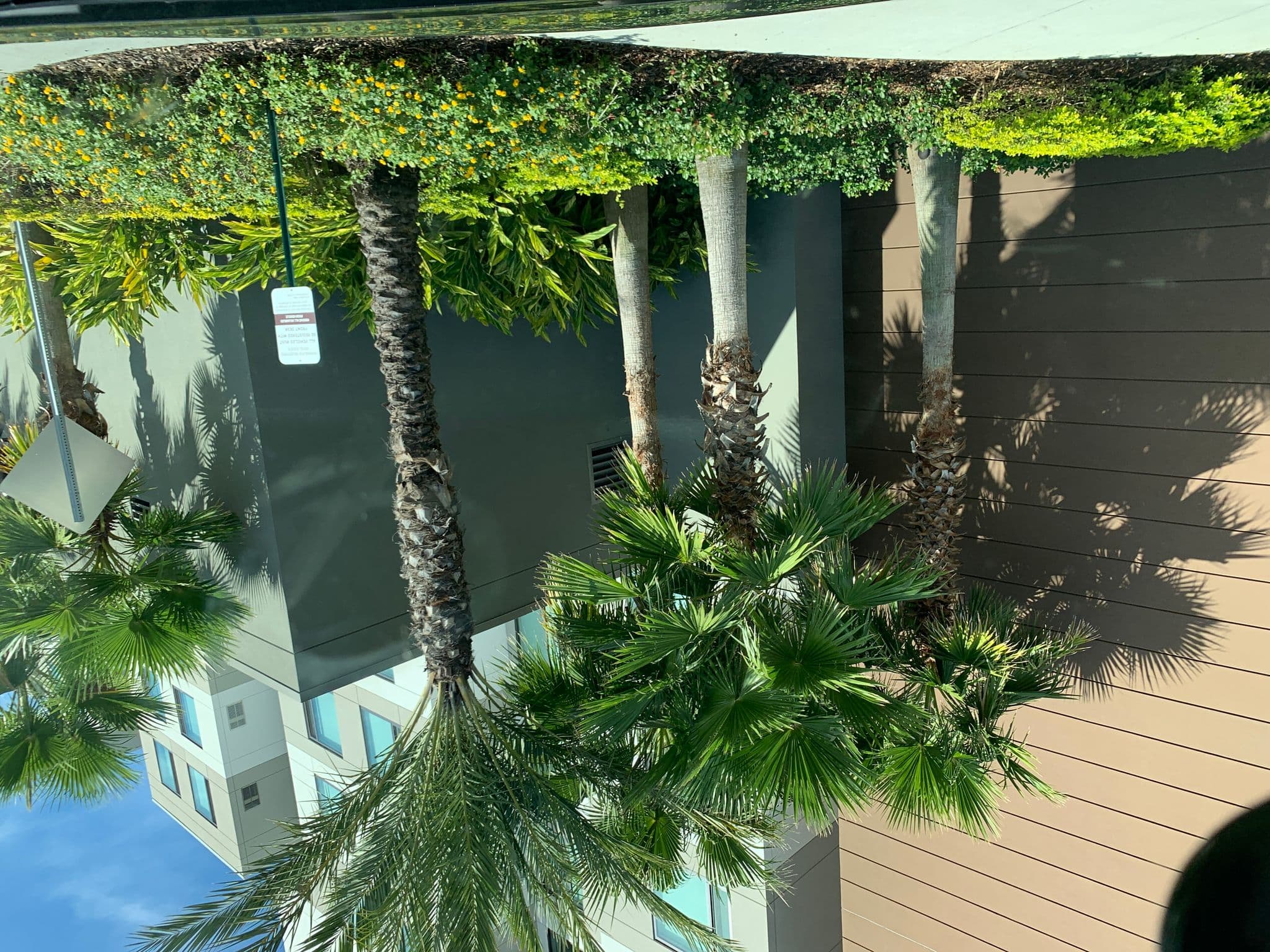 Street view near Residence Inn by Marriott Orlando at Millenia, Tangelo Park — © dominiquech (CC BY-SA · Mapillary)