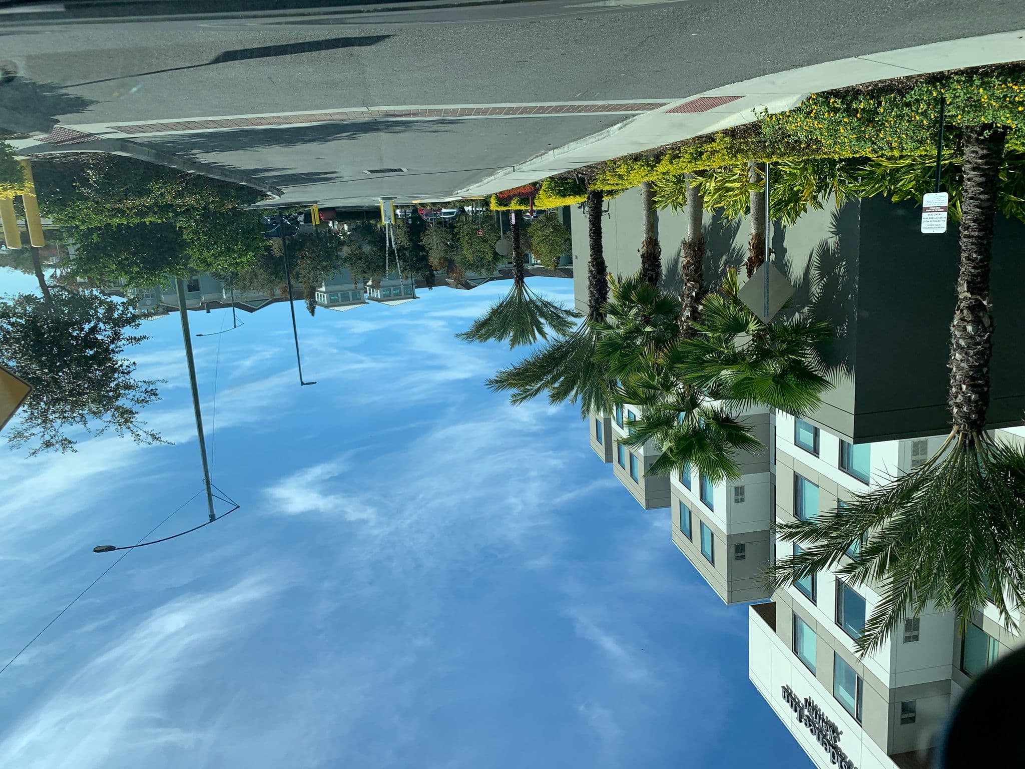 Street view near SpringHill Suites by Marriott Orlando at Millenia, Tangelo Park — © dominiquech (CC BY-SA · Mapillary)