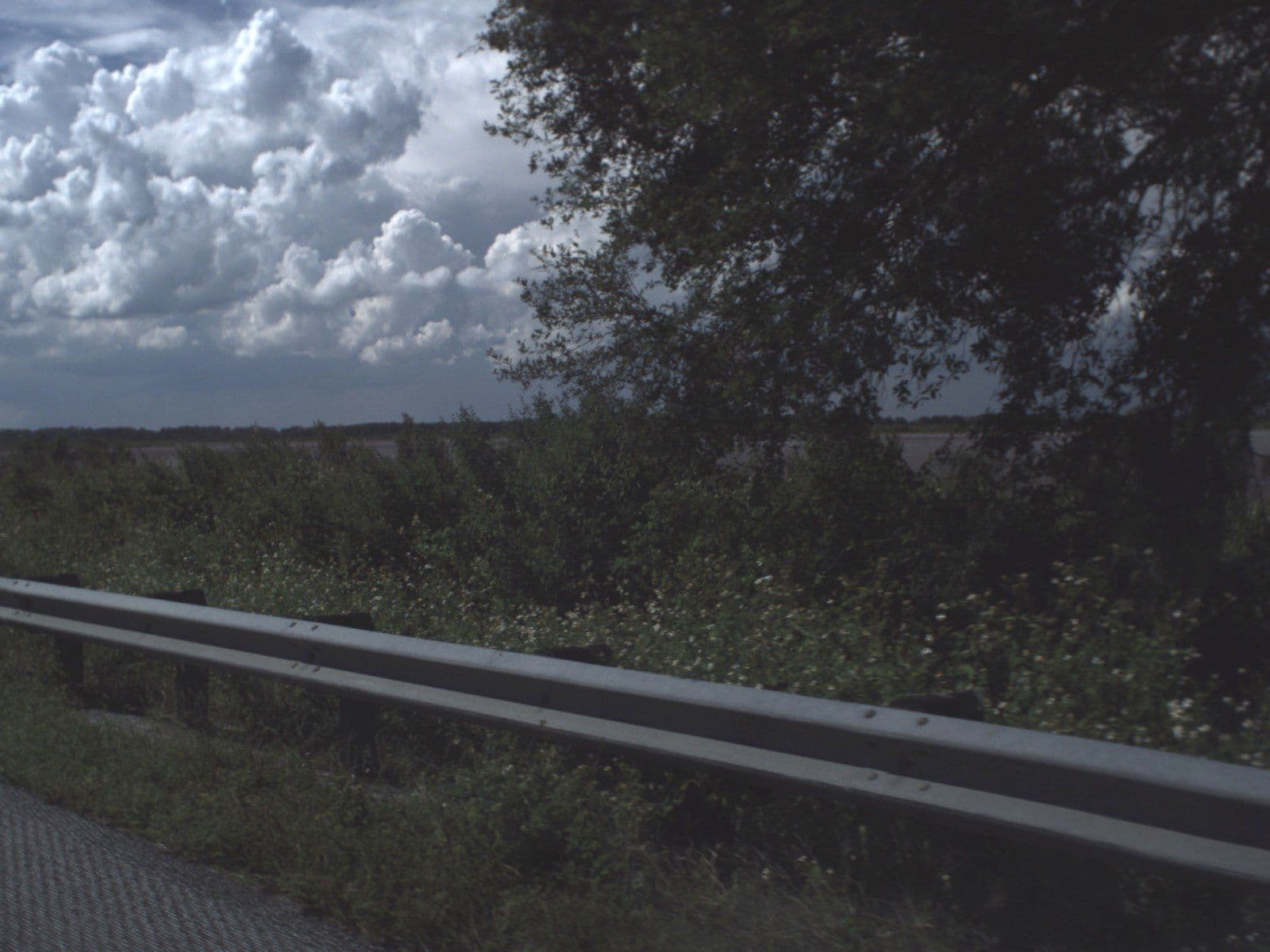 Street view near Paradise! (:, Babson Park — © fdot_vl (CC BY-SA · Mapillary)
