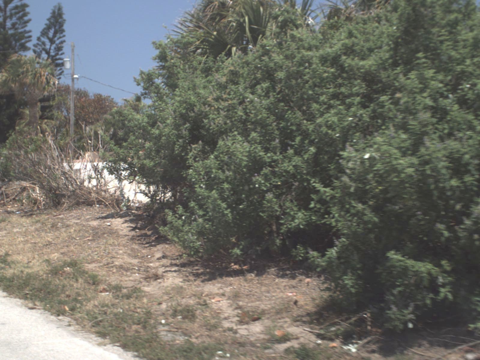 Street view near Sandy Shoes Resort, Malabar — © fdot_vl (CC BY-SA · Mapillary)