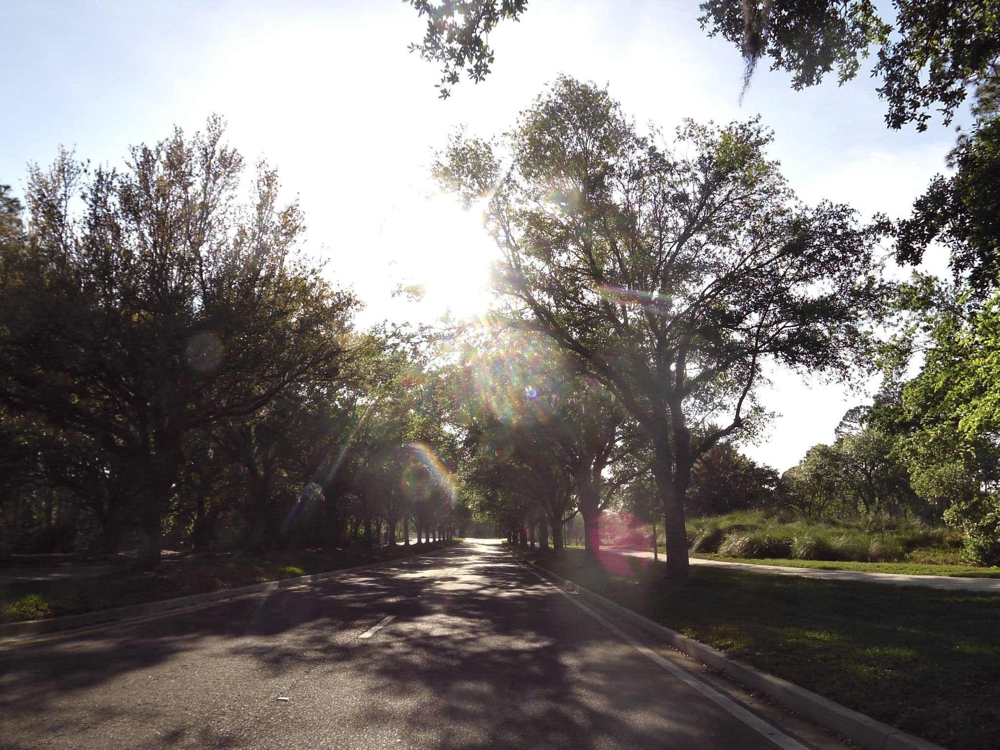 Street view near Room 628, St. Johns — © allen (CC BY-SA · Mapillary)