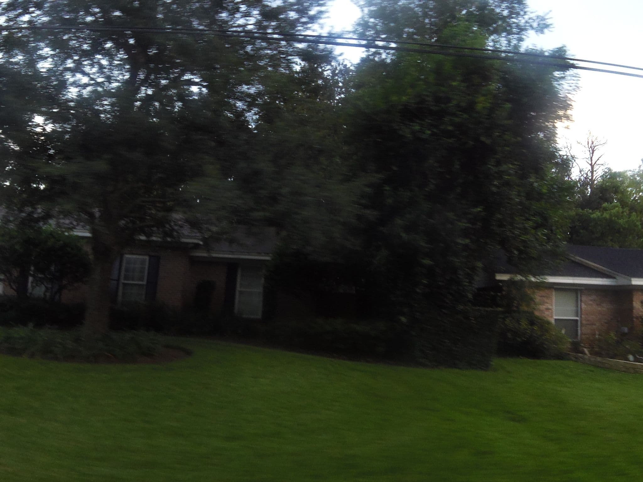 Street view near Château Mass (Hotel & Resort), Orange Park — © allen (CC BY-SA · Mapillary)