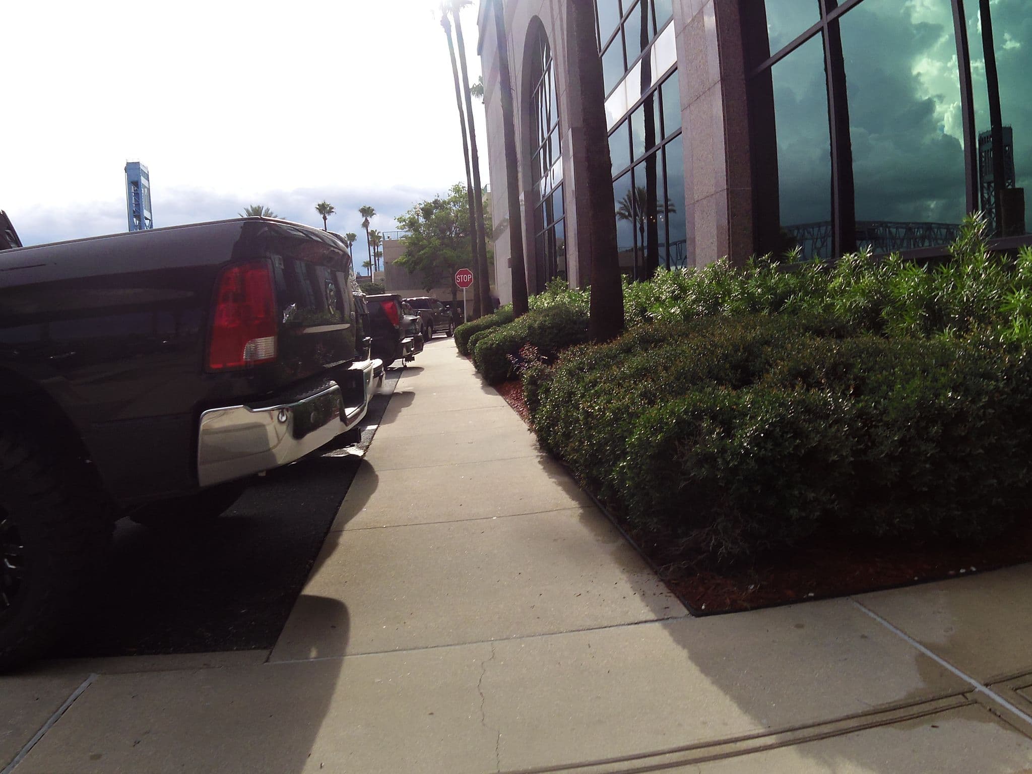 Street view near Association of Avian Veterinarians Conference 2013, Jacksonville — © allen (CC BY-SA · Mapillary)