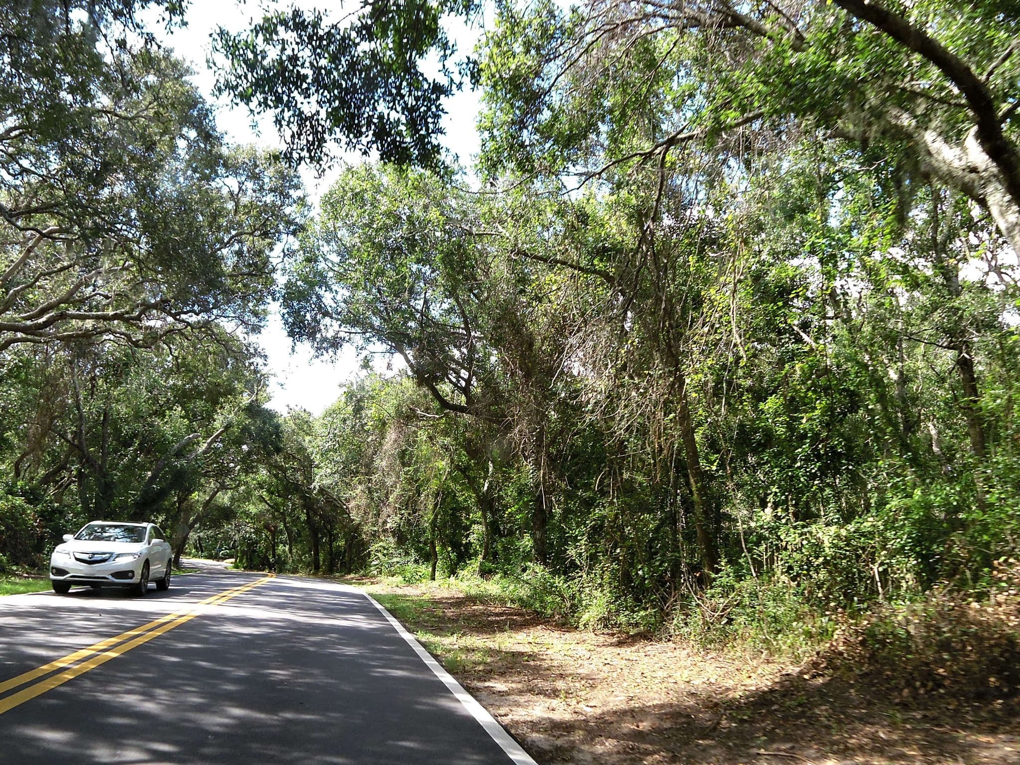 Street view near The Beach Club At Summer Beach, Fernandina Beach — © allen (CC BY-SA · Mapillary)