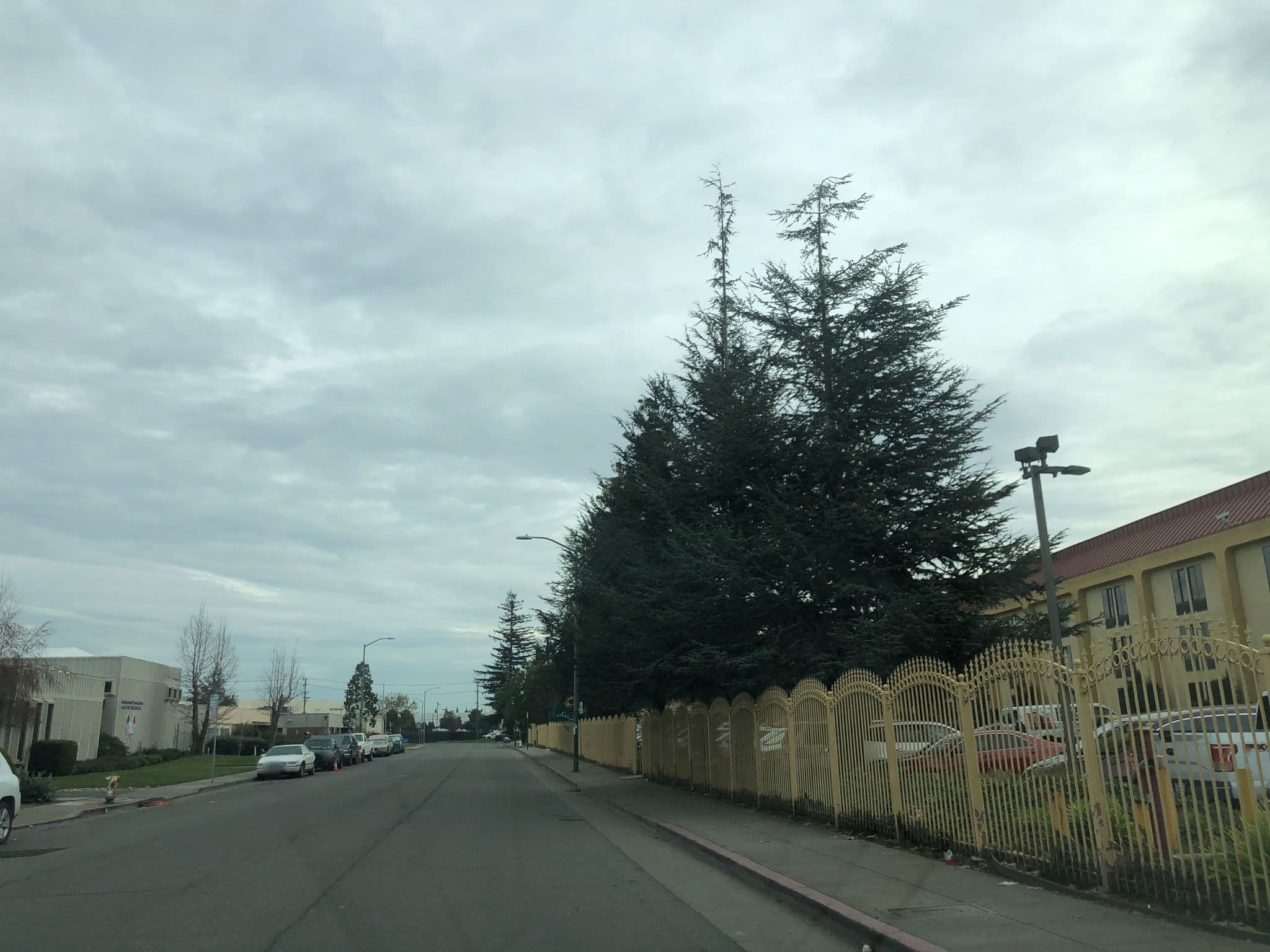 Street view near Bizzbo's Hotel, San Leandro — © jaimevger (CC BY-SA · Mapillary)