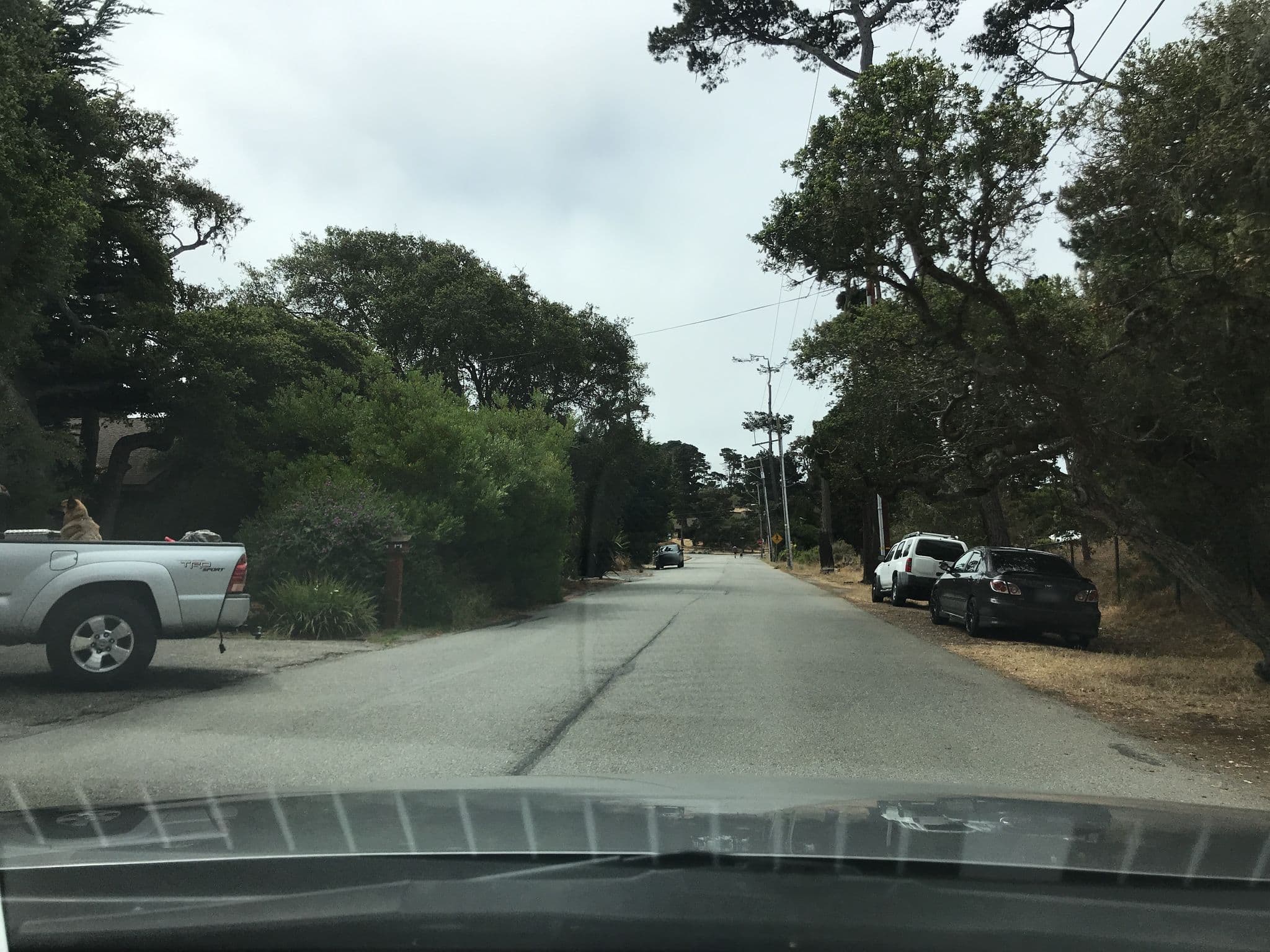 Street view near Asilomar Director's Cottage, Pacific Grove — © technodino (CC BY-SA · Mapillary)