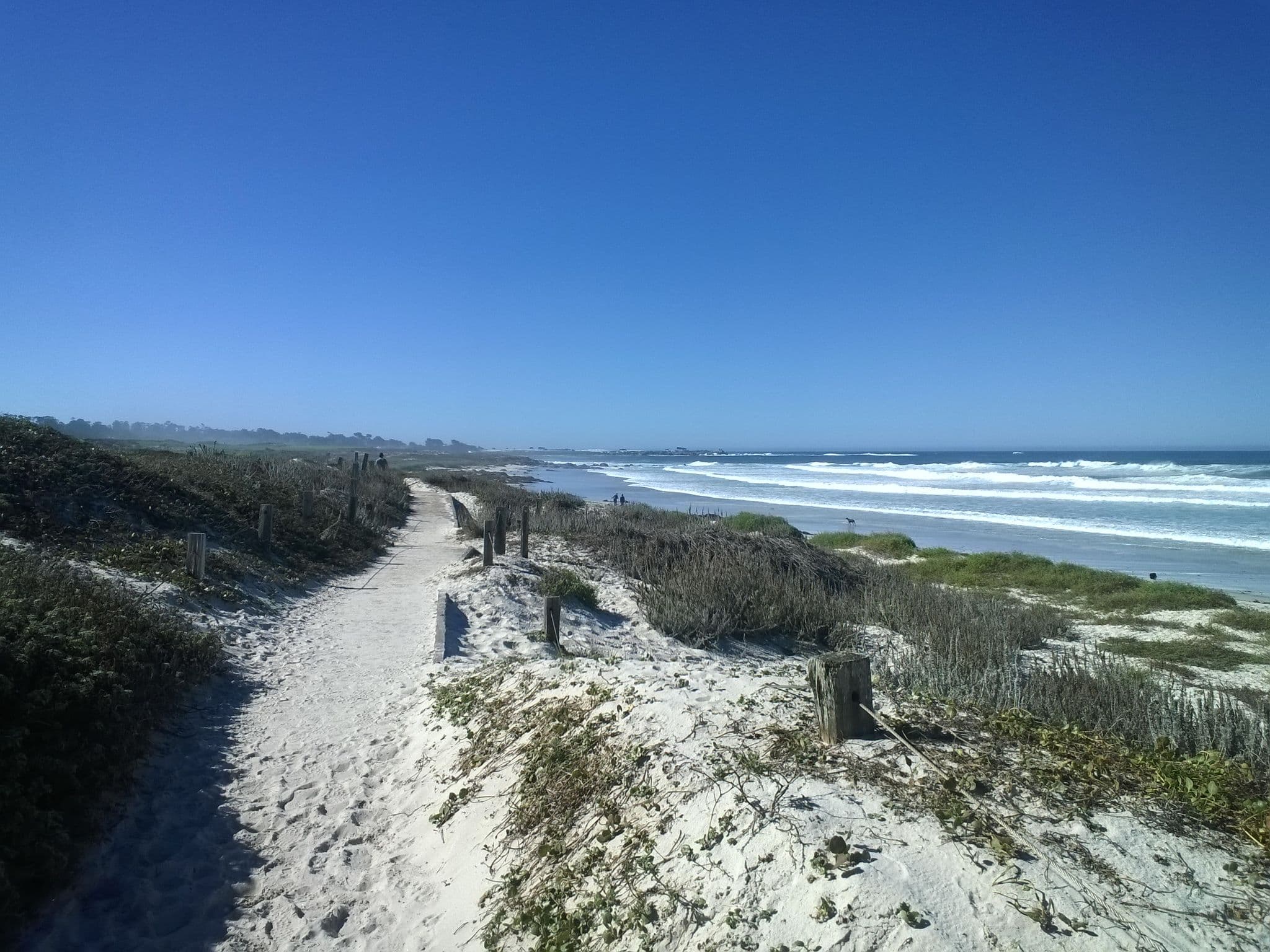 Street view near Terrace Court, Pacific Grove — © natastream (CC BY-SA · Mapillary)