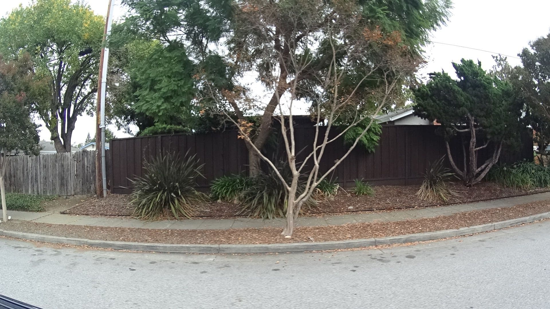 Street view near eden court, Cupertino — © bhousel (CC BY-SA · Mapillary)