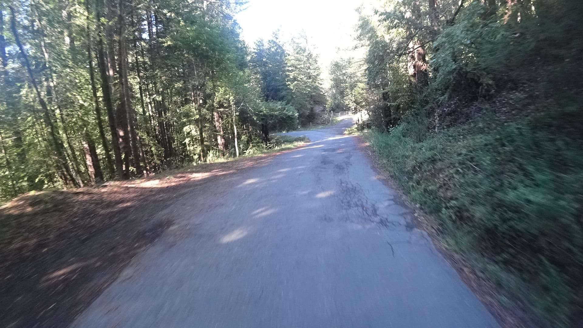 Street view near Modern Zen, Guerneville — © marker_geo (CC BY-SA · Mapillary)