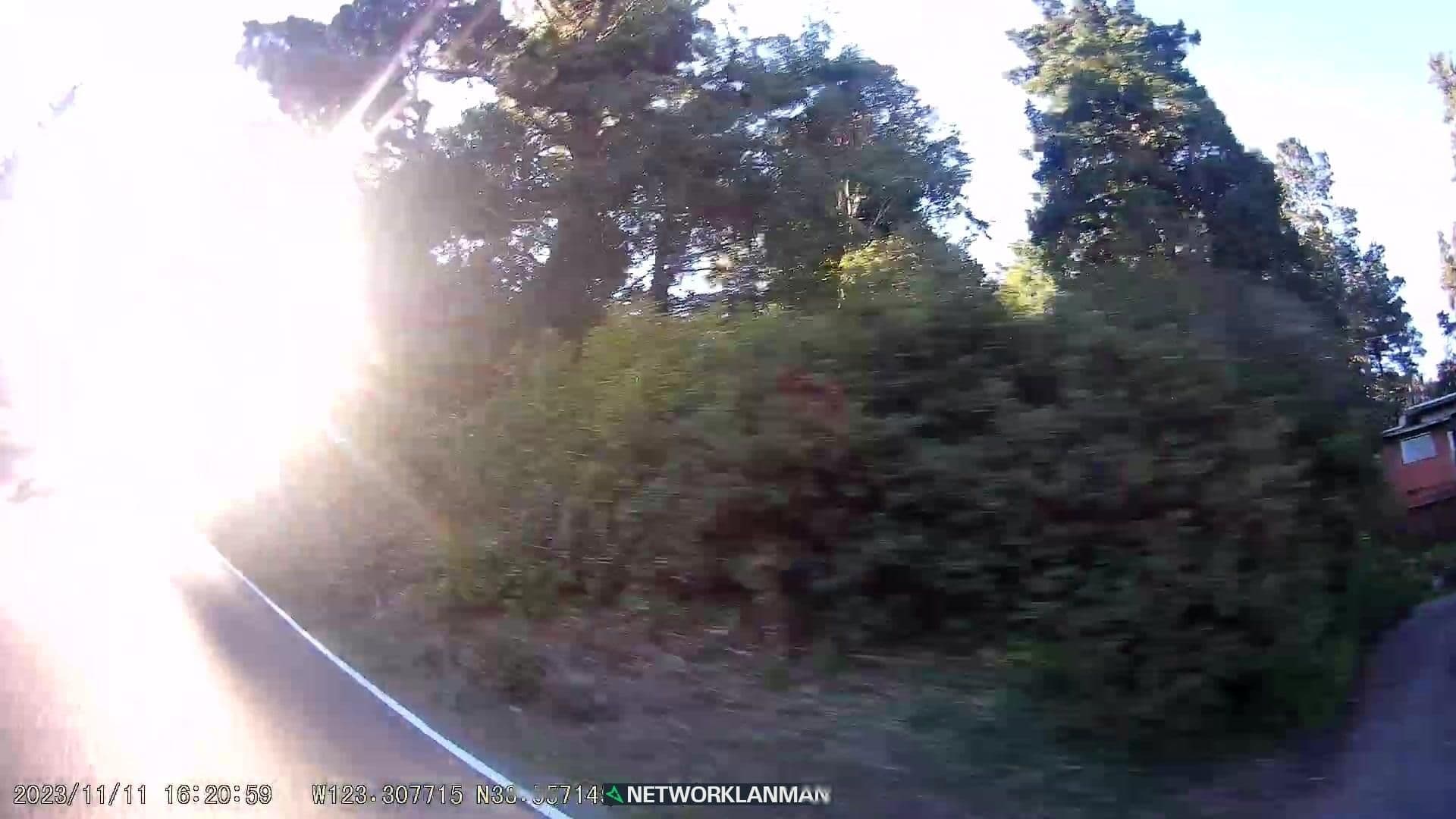 Street view near Sonoma Coast Vacations, Sea Ranch — © networklanman (CC BY-SA · Mapillary)