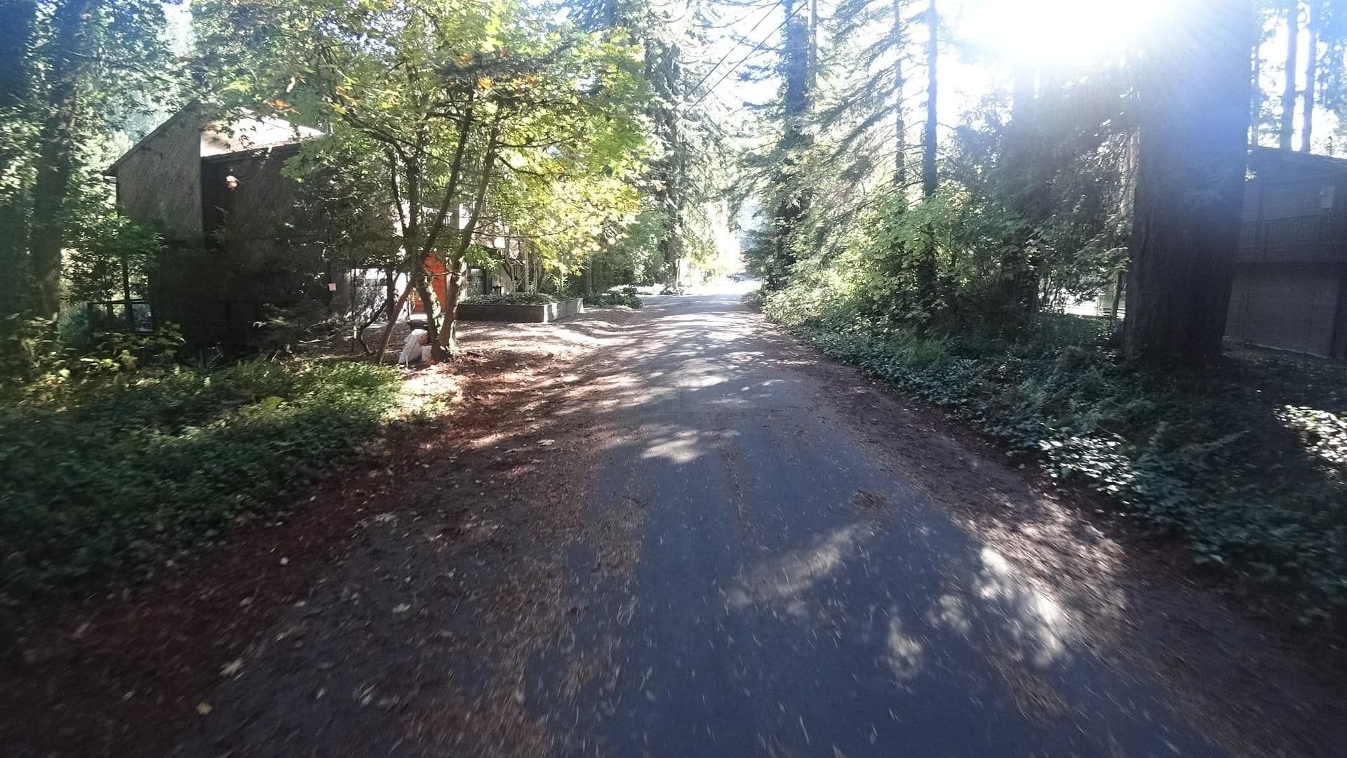 Street view near Honeycomb Cabin, Monte Rio — © marker_geo (CC BY-SA · Mapillary)