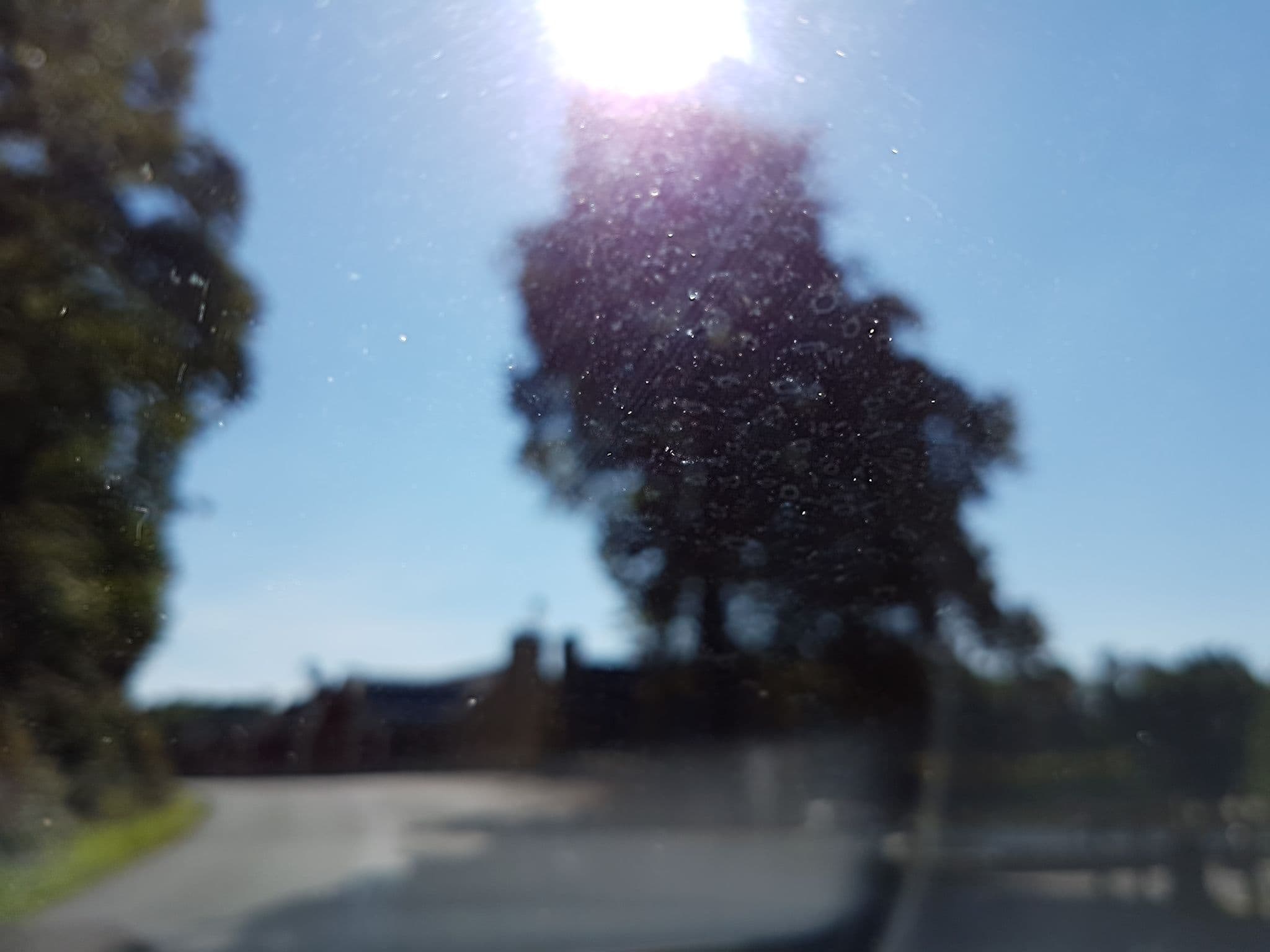 Street view near Moulin Neuf Aventures, Pluherlin — © ganjo (CC BY-SA · Mapillary)