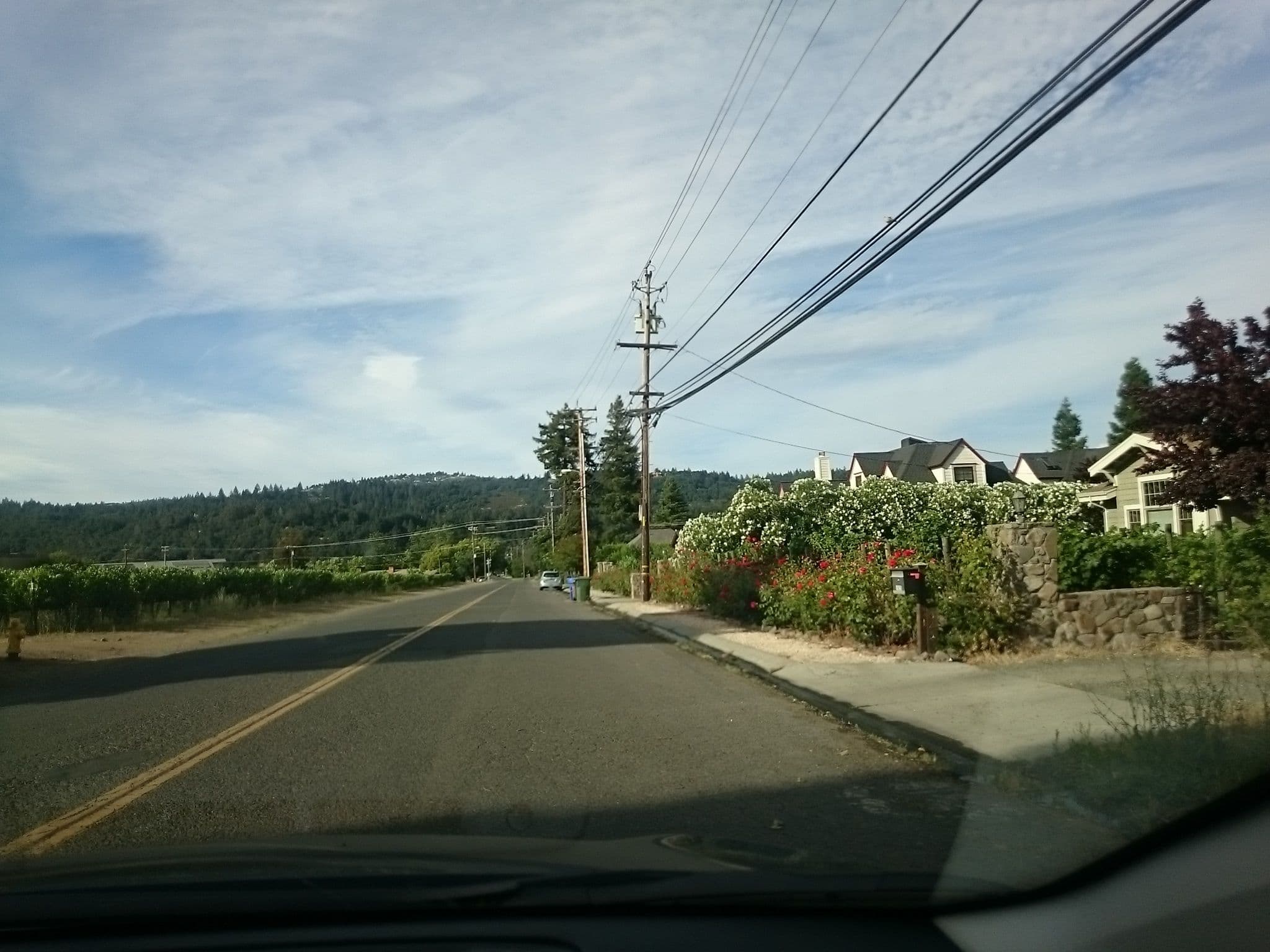 Street view near Casa De Vigna, Saint Helena — © voschix (CC BY-SA · Mapillary)