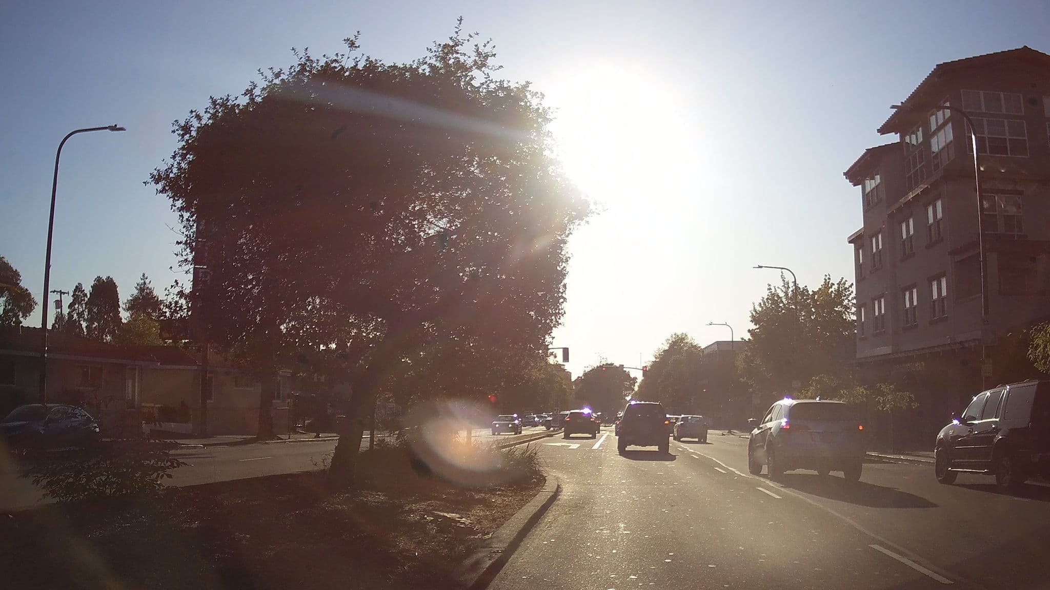 Street view near Capri Motel, Berkeley — © jalessio (CC BY-SA · Mapillary)
