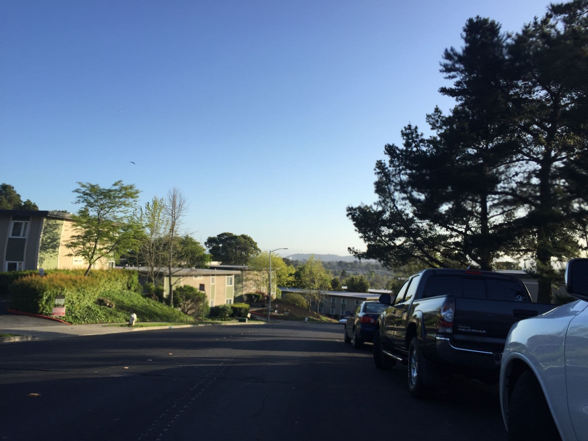Street view near Eat A Dick When I Leap Across This Table And Not Knock Over A Single Glass, Rollingwood — © mapeadora (CC BY-SA · Mapillary)
