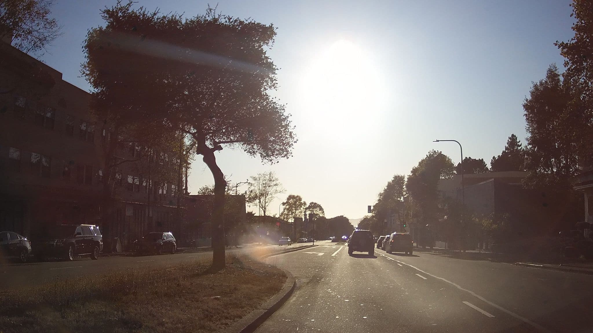Street view near Amin Manaharlal, Berkeley — © jalessio (CC BY-SA · Mapillary)
