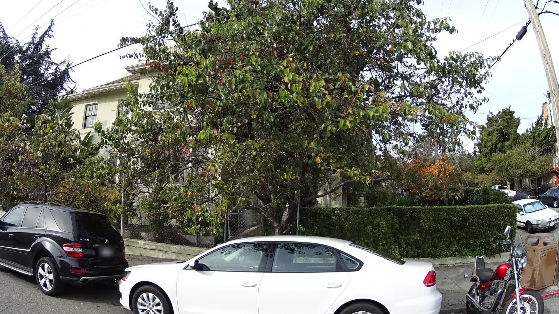 Street view near Bates House, Oakland — © bhousel (CC BY-SA · Mapillary)