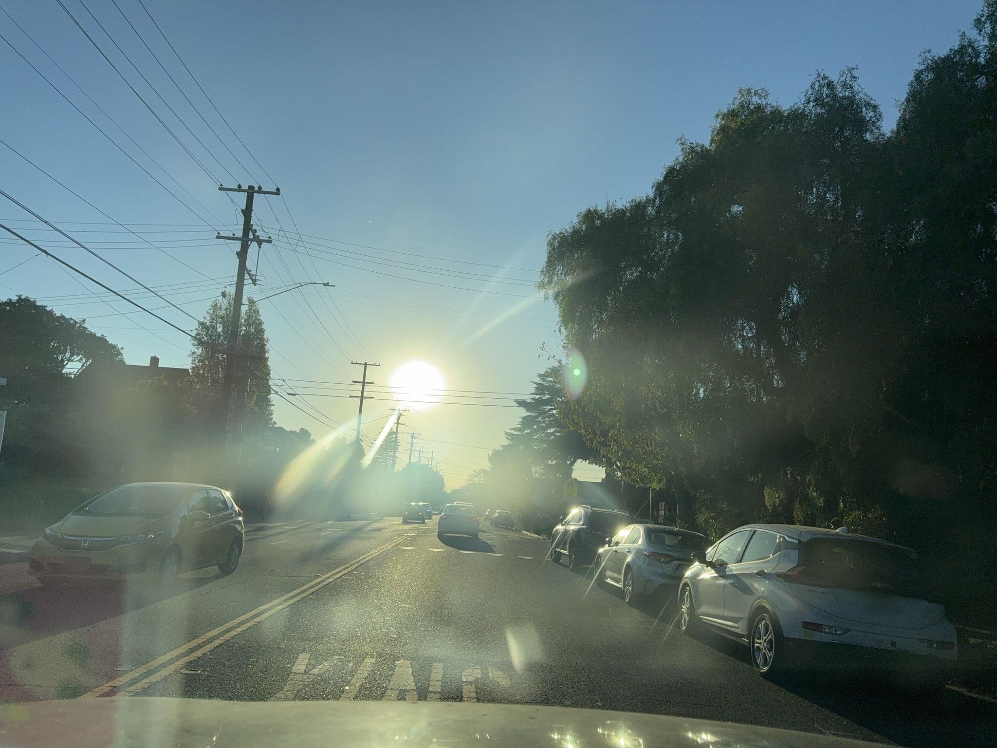 Street view near Cathaus Org, Berkeley — © davidofun (CC BY-SA · Mapillary)