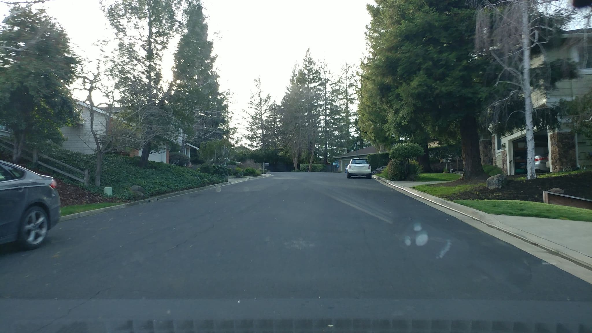 Street view near JBLB Tropical Oasis, Danville — © daryldarko (CC BY-SA · Mapillary)