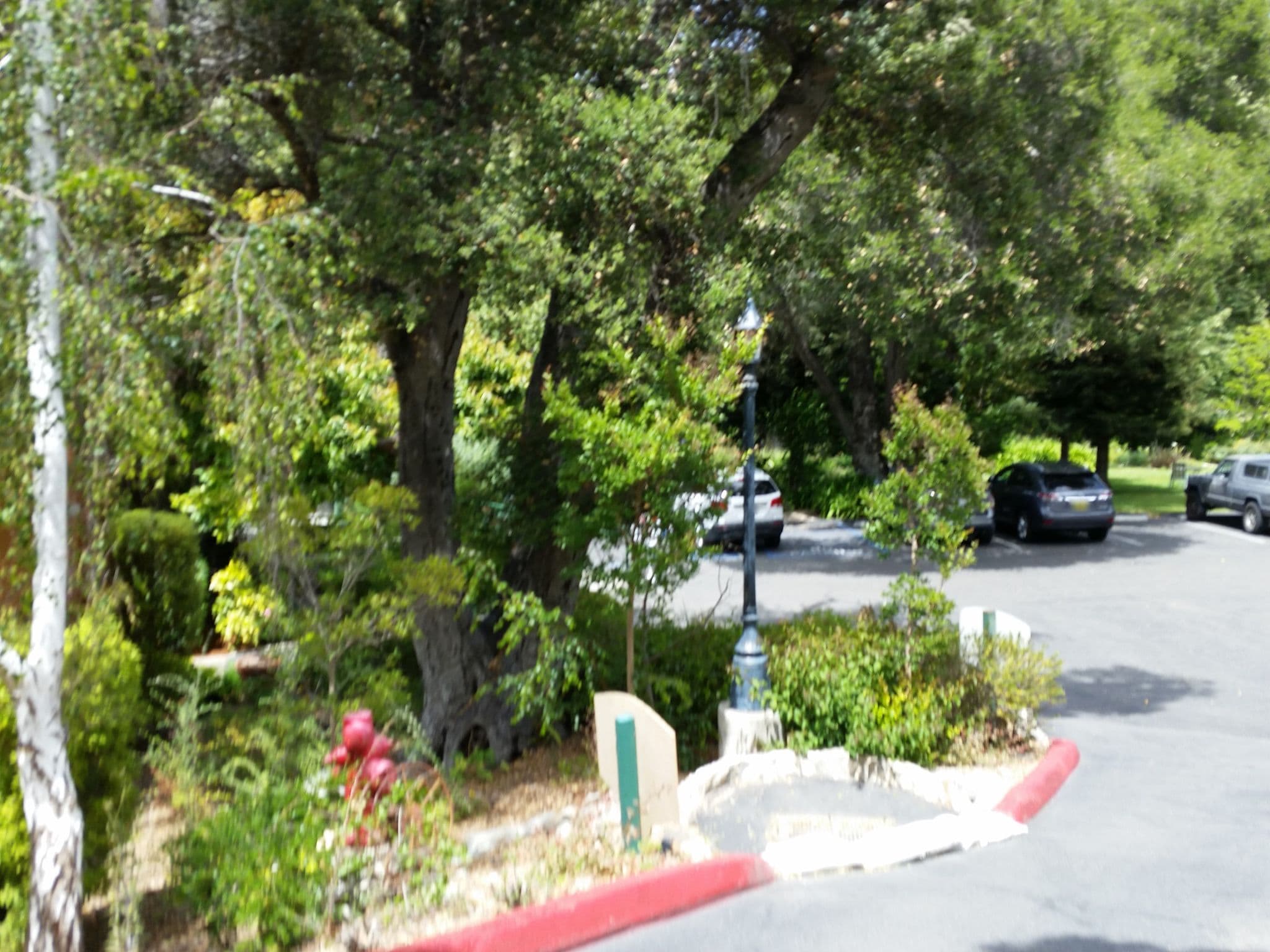 Street view near Sycamore Utopia, Avila Beach — © caboosey (CC BY-SA · Mapillary)