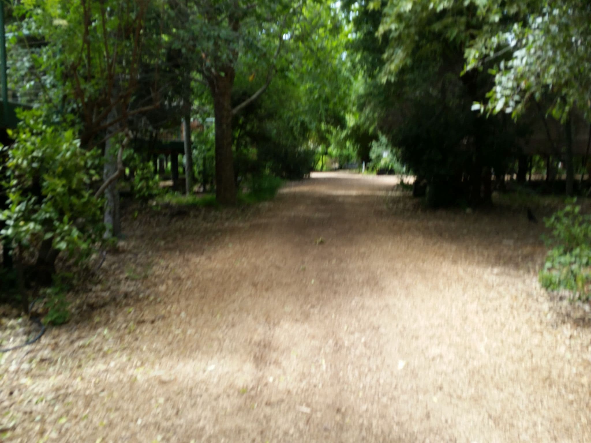 Street view near Charming, Avila Beach — © caboosey (CC BY-SA · Mapillary)