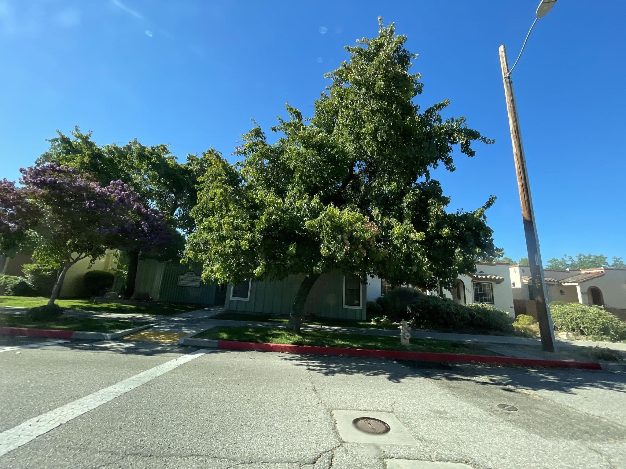 Street view near Casita Azul, Paso Robles — © filipb (CC BY-SA · Mapillary)
