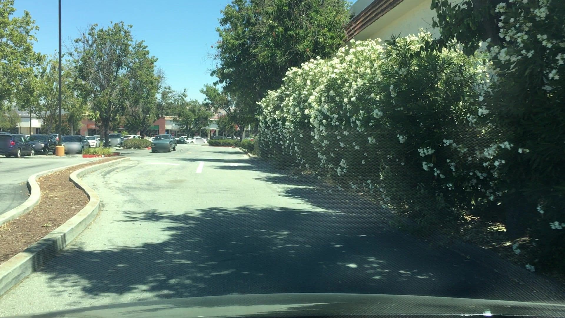 Street view near Econolodge, Gilroy — © lvl5 (CC BY-SA · Mapillary)