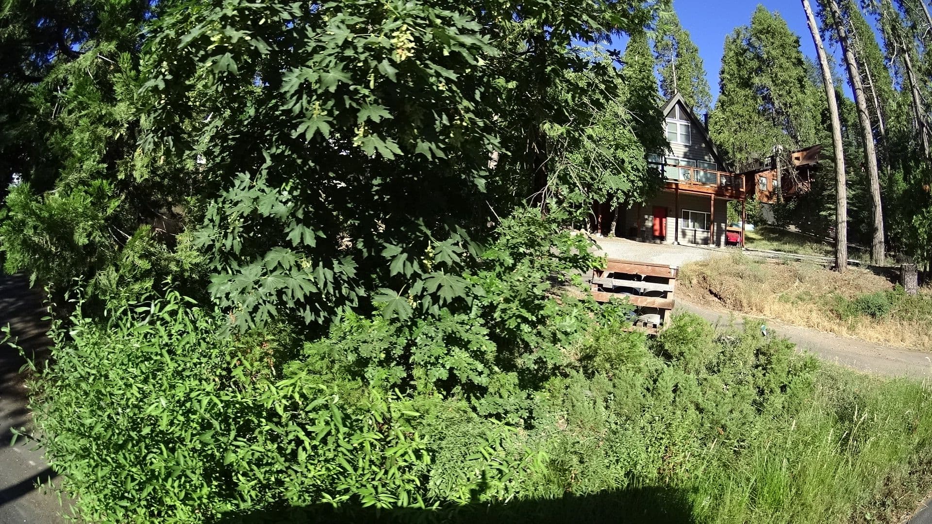 Street view near Snowflake Chalet, Forest Meadows — © marker_geo (CC BY-SA · Mapillary)