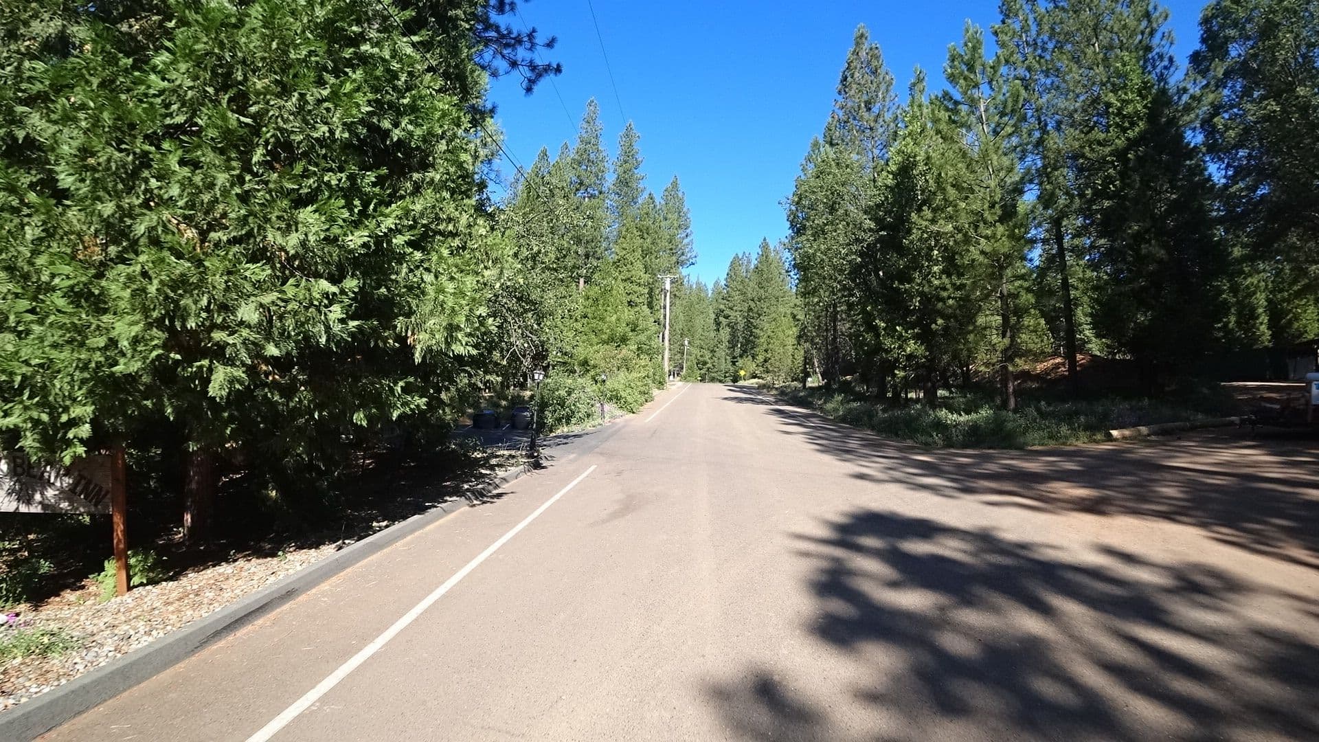 Street view near Black Bear Inn, Forest Meadows — © marker_geo (CC BY-SA · Mapillary)