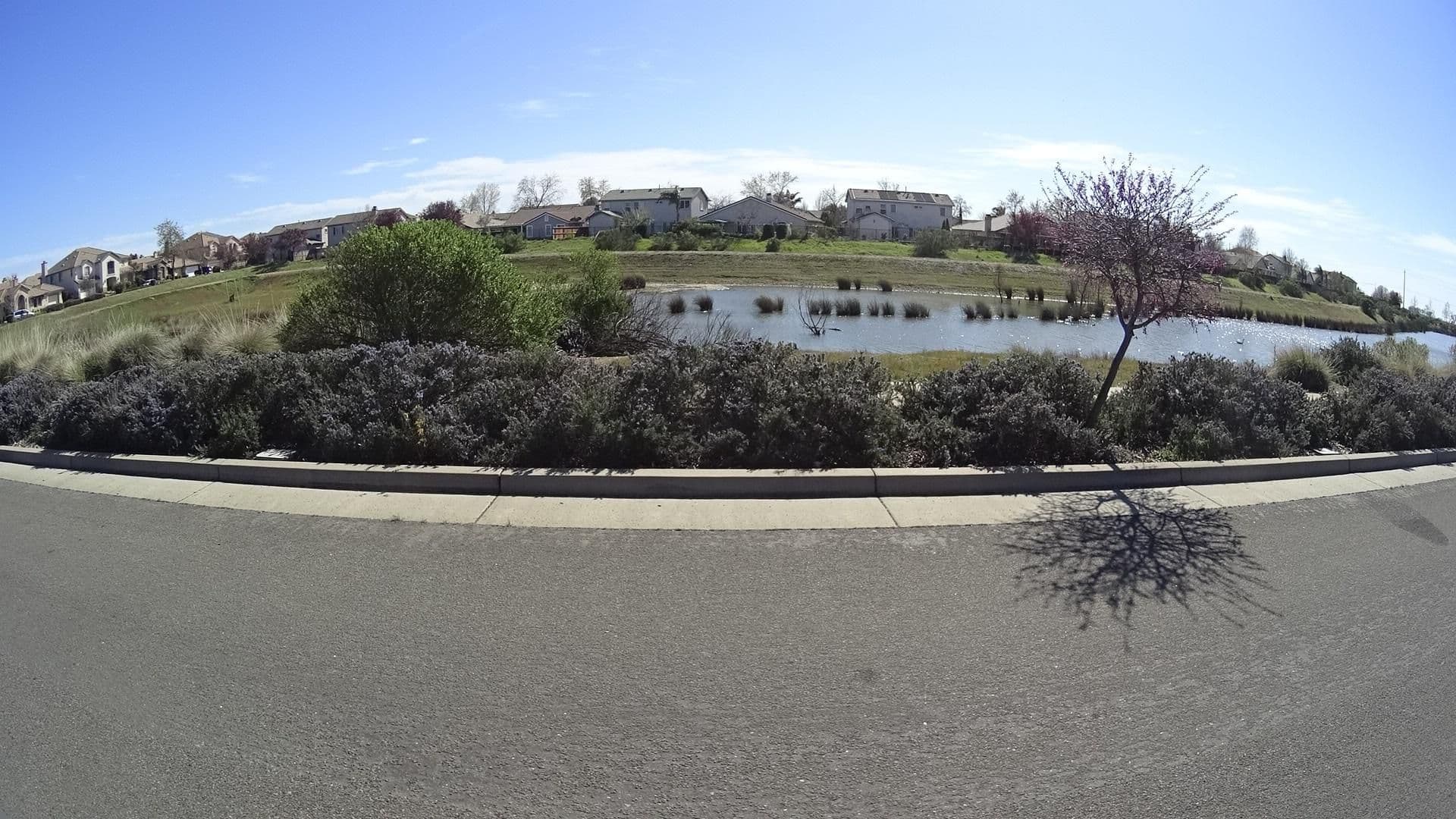 Street view near Mindless Manor, Rancho Cordova — © marker_geo (CC BY-SA · Mapillary)
