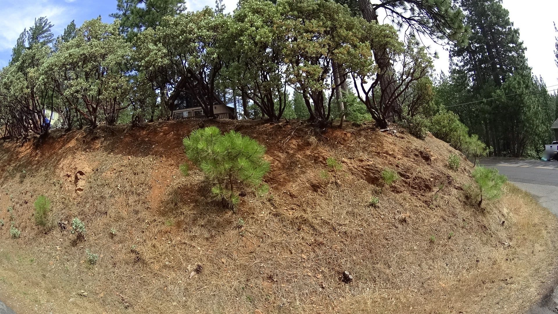 Street view near Whimsey Homes Air Bnb, Forest Meadows — © marker_geo (CC BY-SA · Mapillary)