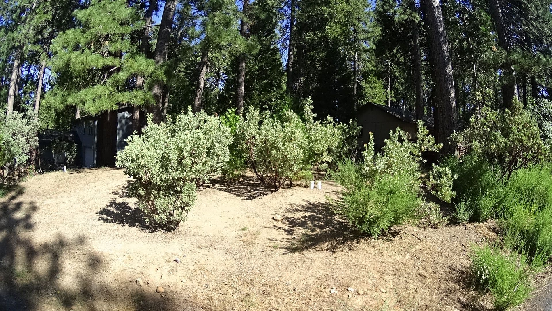 Street view near Whiskey Hideaway, Forest Meadows — © marker_geo (CC BY-SA · Mapillary)