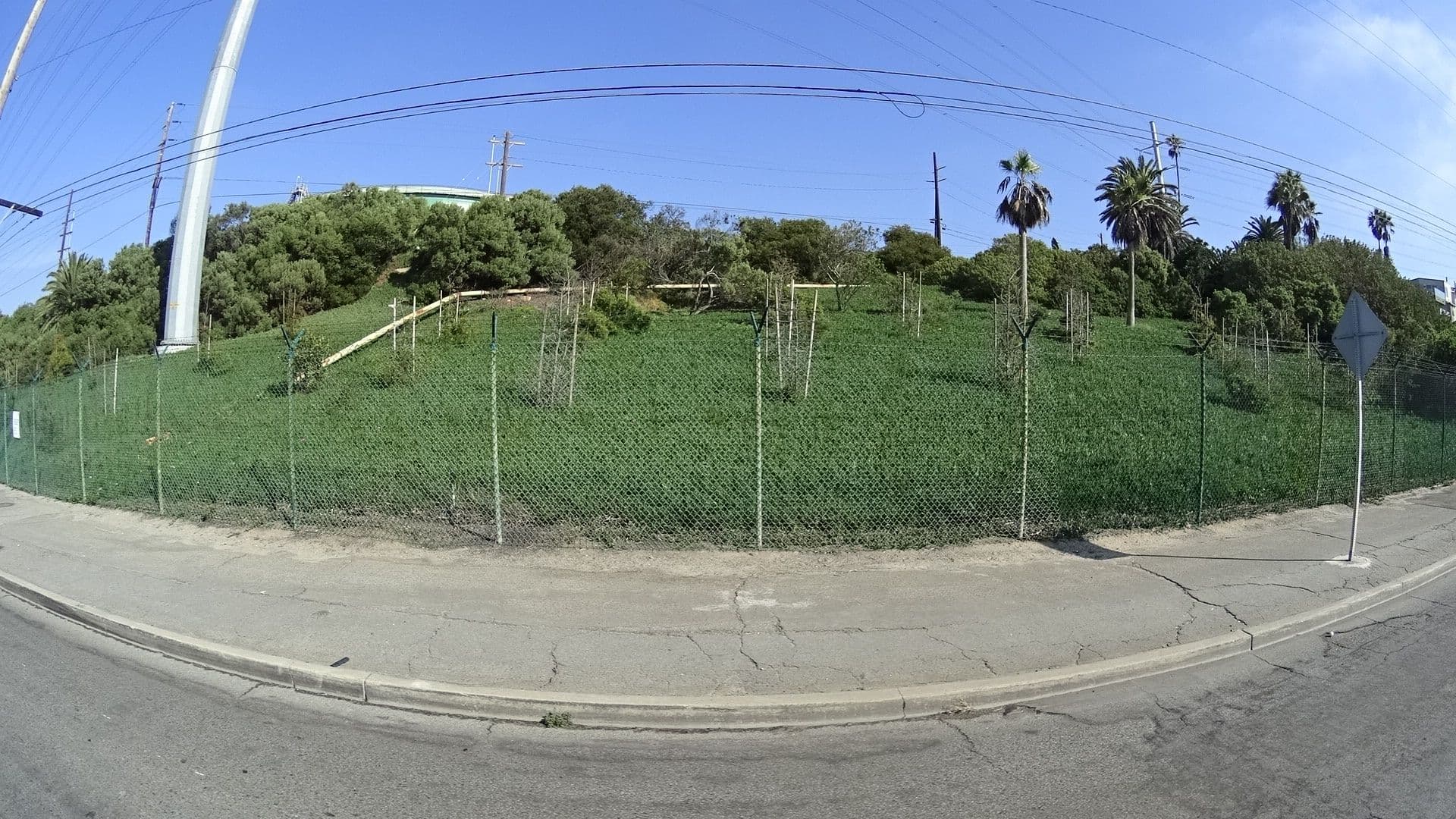 Street view near The Strand 3700, El Segundo — © marker_geo (CC BY-SA · Mapillary)
