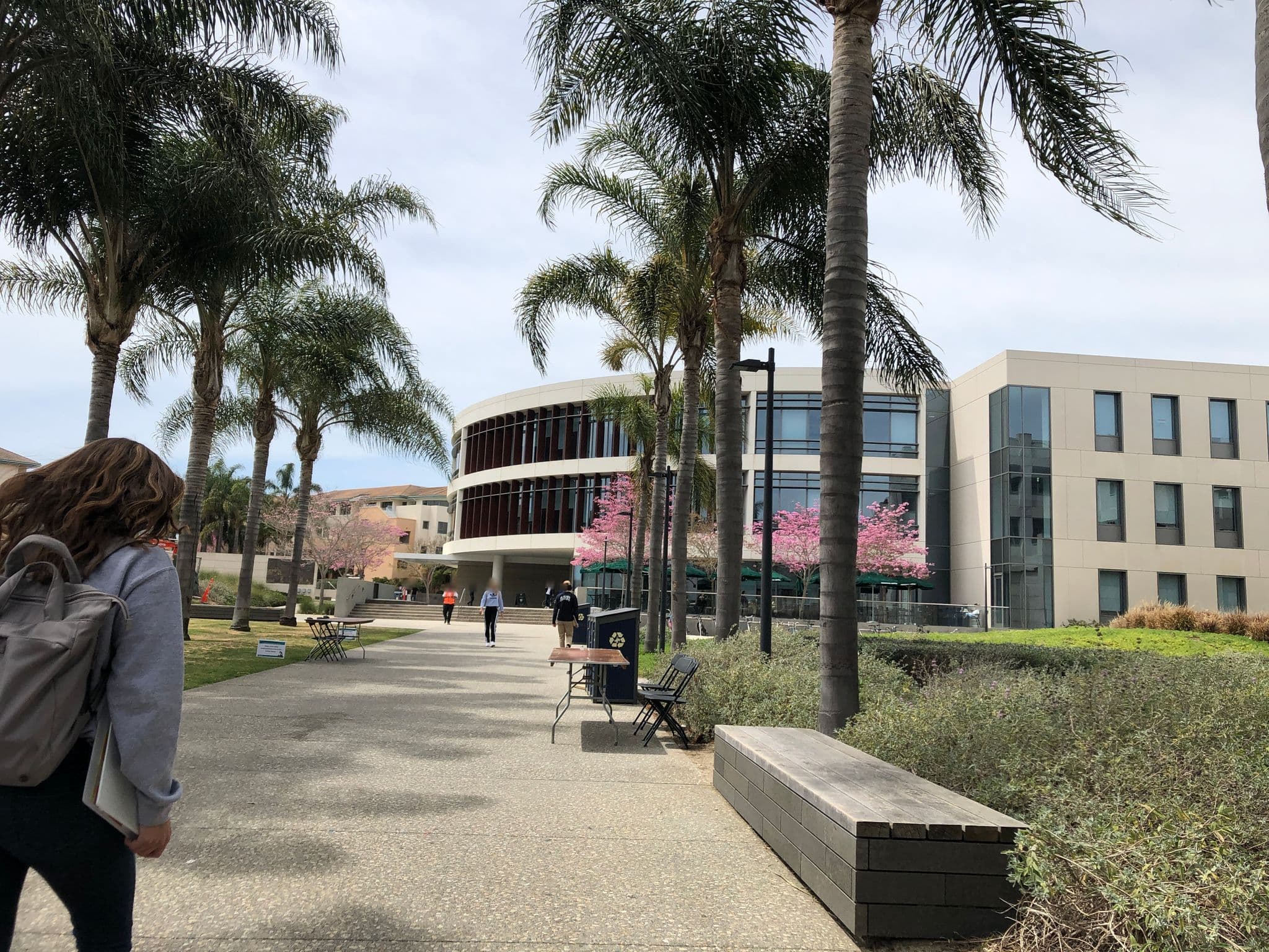 Street view near LMU - Hilton Center, Marina del Rey — © jhenline (CC BY-SA · Mapillary)