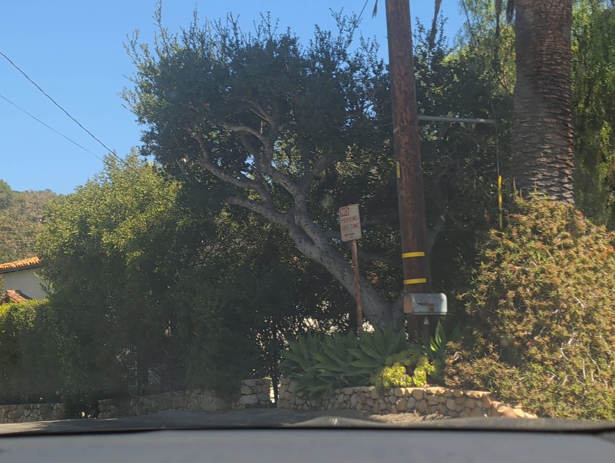 Street view near Santa Barbara Cottages, Santa Barbara — © nenam1607 (CC BY-SA · Mapillary)
