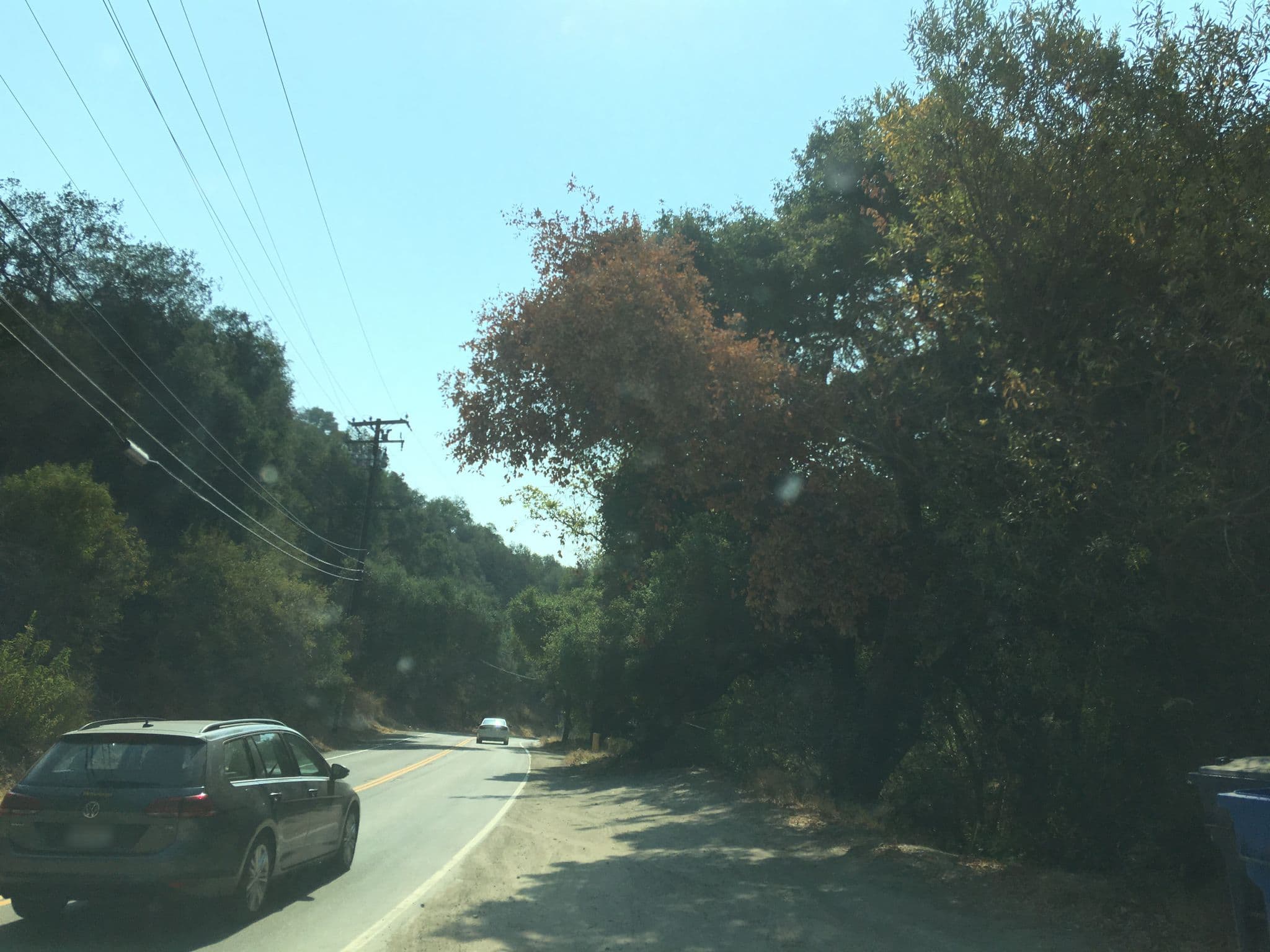 Street view near Cute Cabin, Topanga — © cscrivens (CC BY-SA · Mapillary)