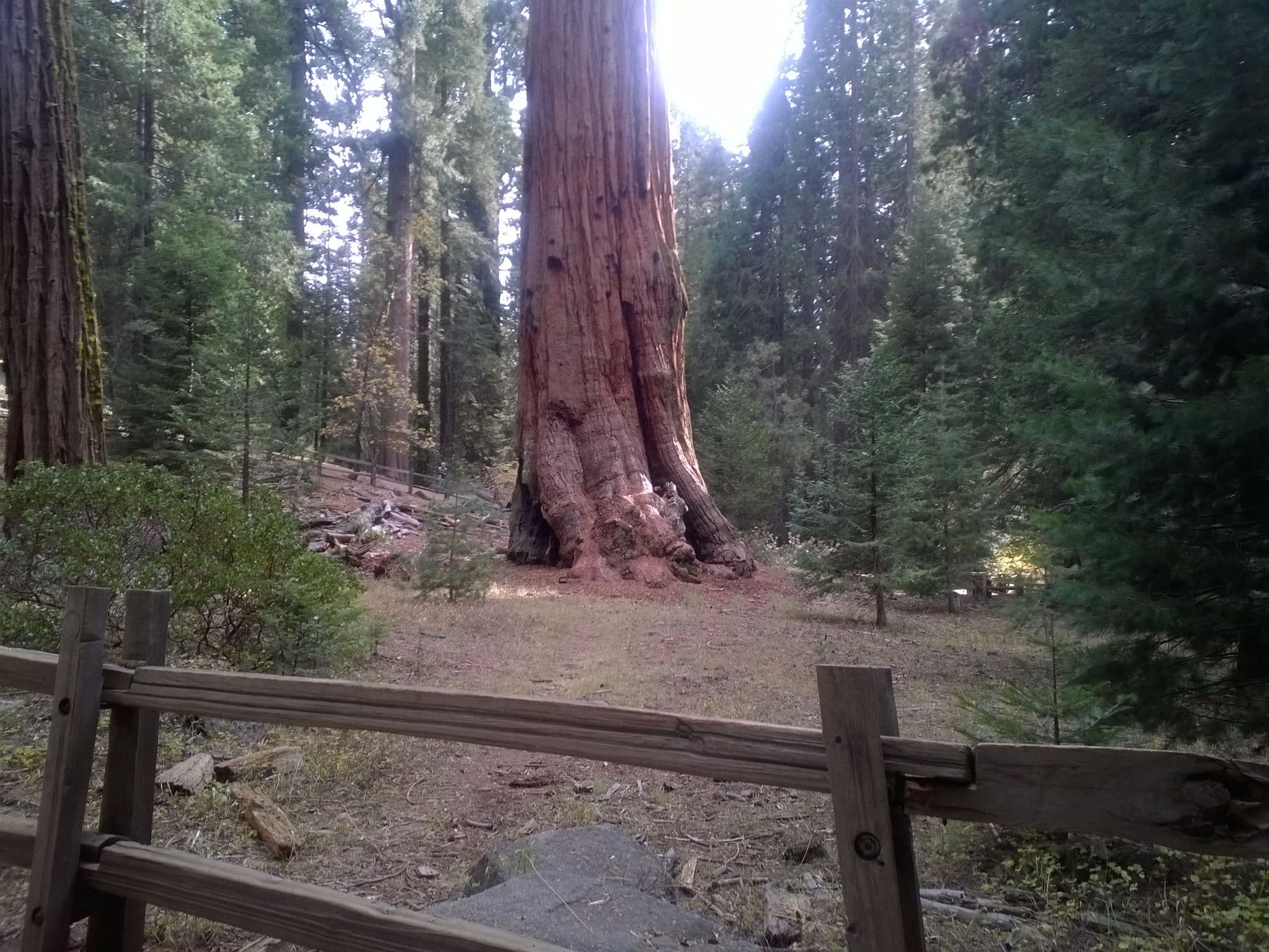 Street view near Gamlin Cabin, Yokuts Valley — © natastream (CC BY-SA · Mapillary)